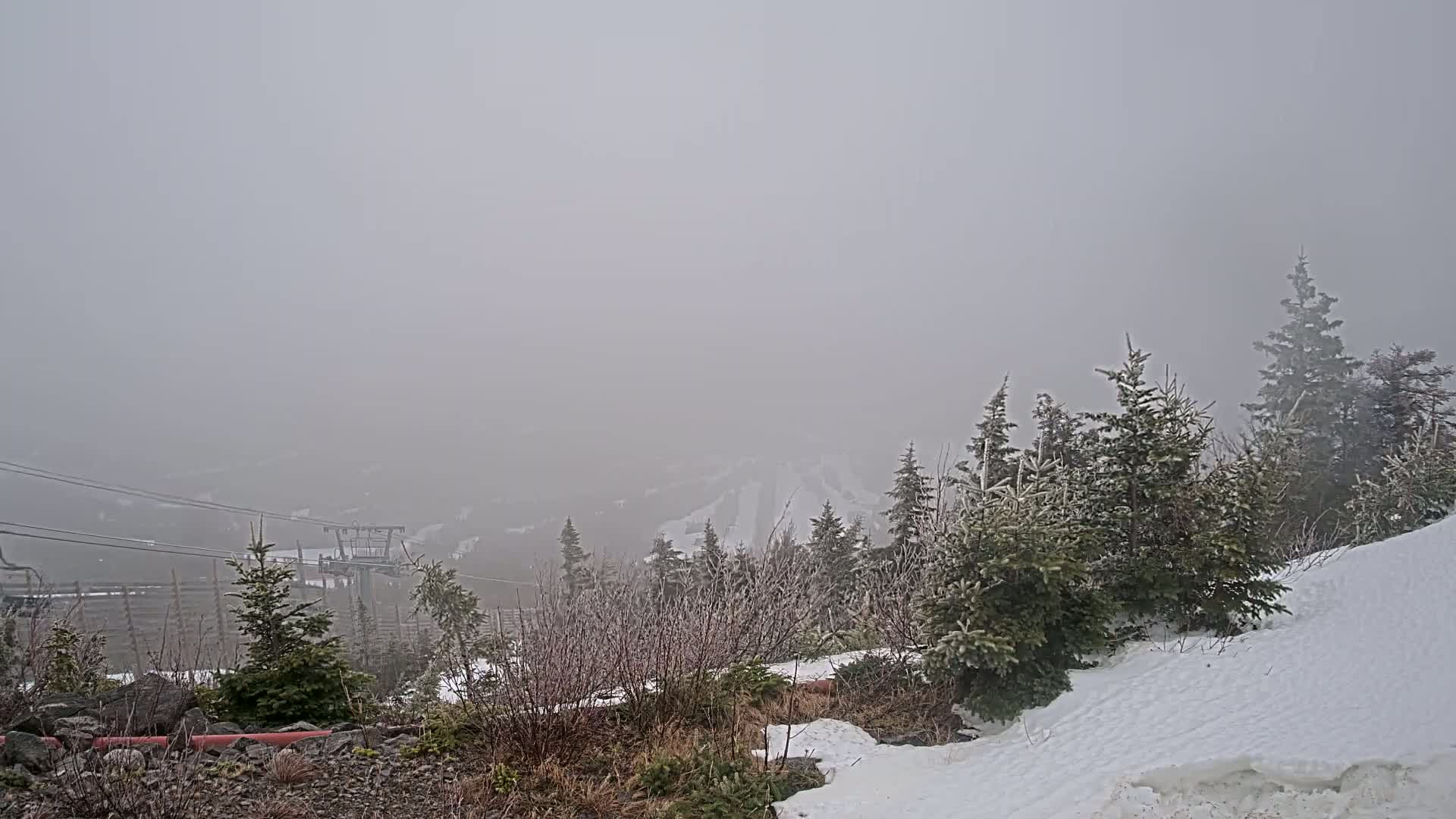 A foggy, snowy mountain scene shows evergreen trees dusted with snow and ice, a ski lift in the distance, and a snow-covered slope in the foreground.