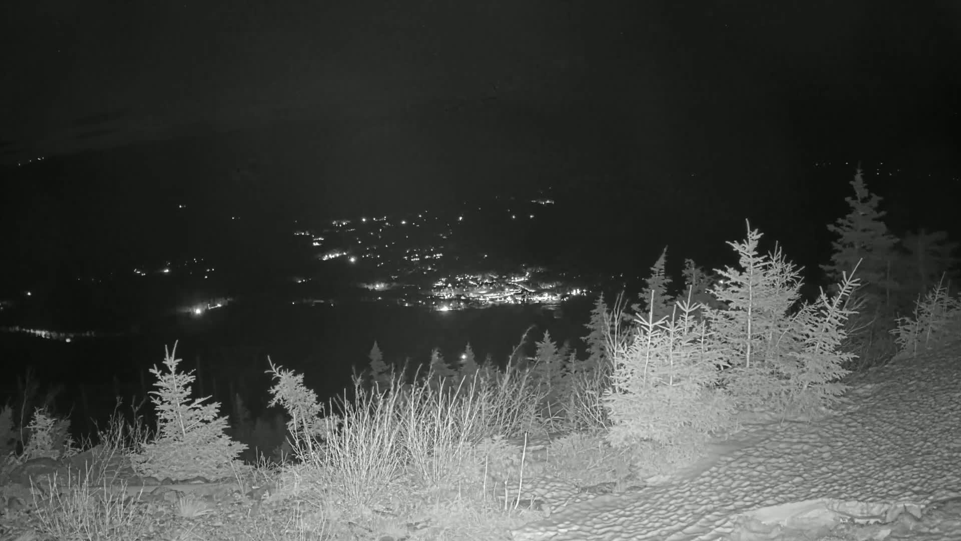 A nighttime view from a snowy, wooded hilltop shows a distant town illuminated by scattered lights.