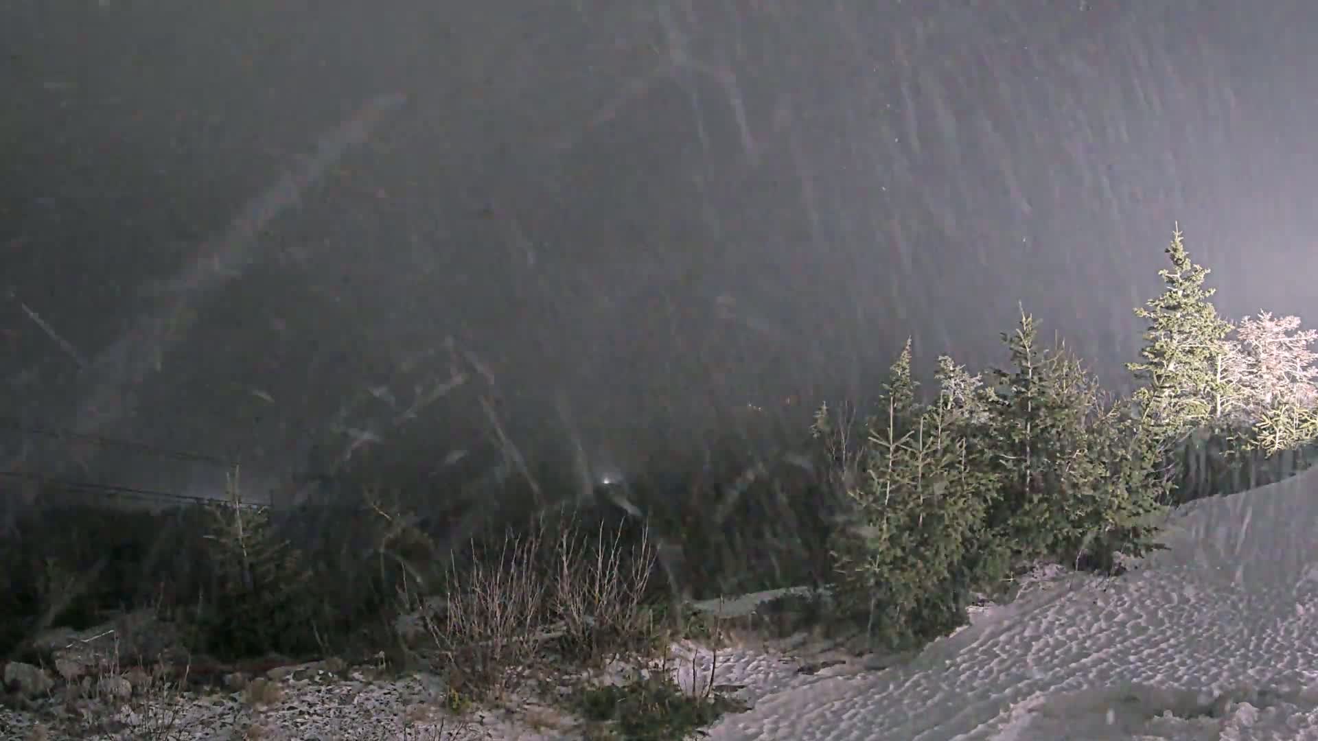 Snow falls heavily at night over a snow-covered landscape of evergreen trees and shrubs.