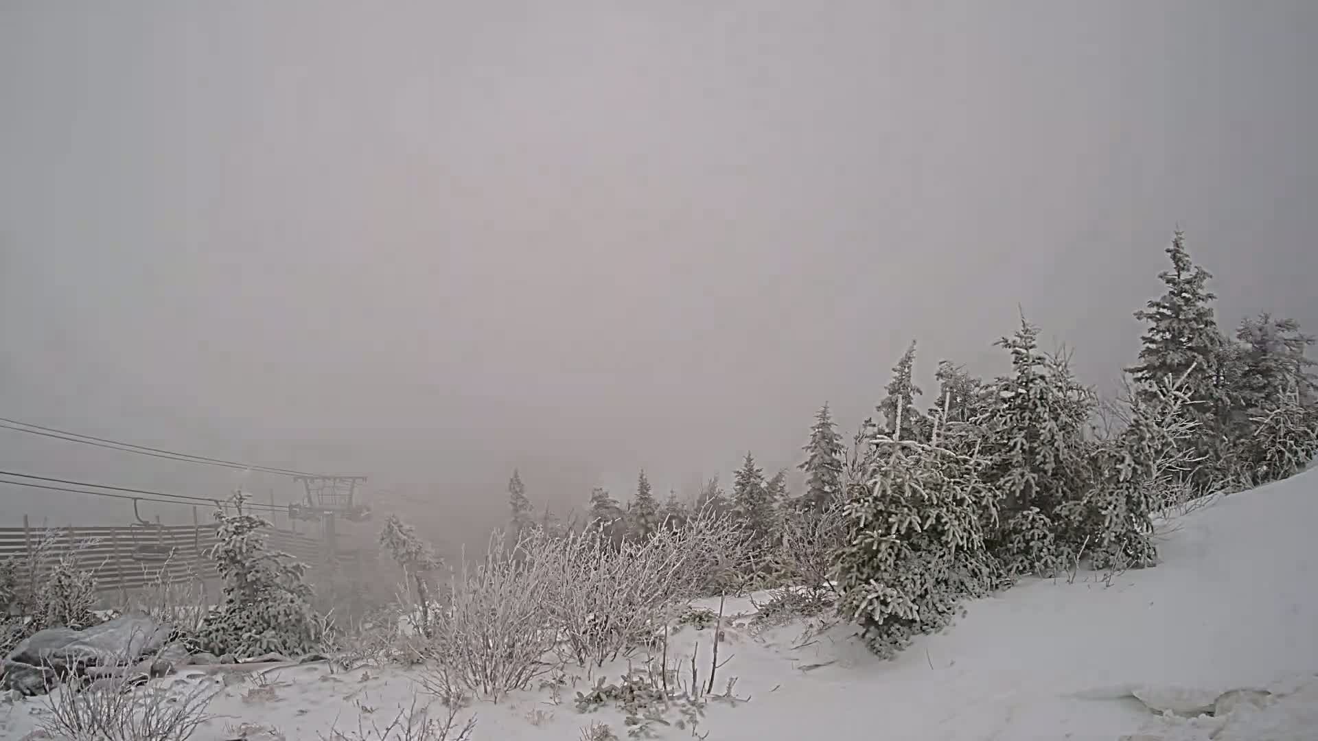 Snow-covered trees and shrubs are visible in a heavy fog, with a ski lift in the distance.