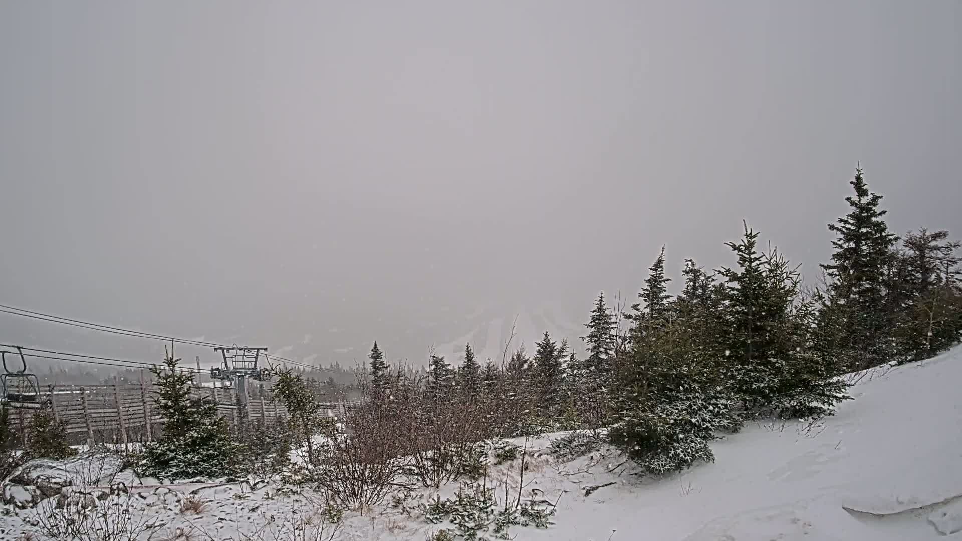A snow-covered landscape with evergreen trees and a ski lift in the distance under heavy snowfall.