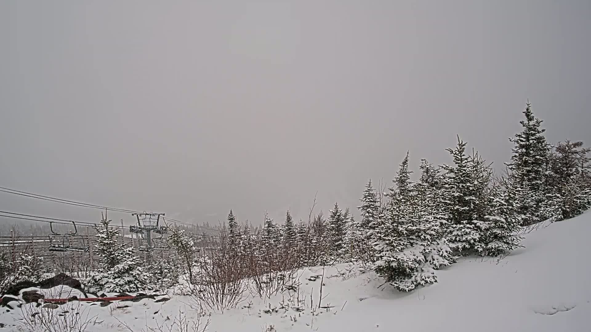 Snow-covered evergreen trees and a ski lift are visible in a snowy landscape under an overcast sky.