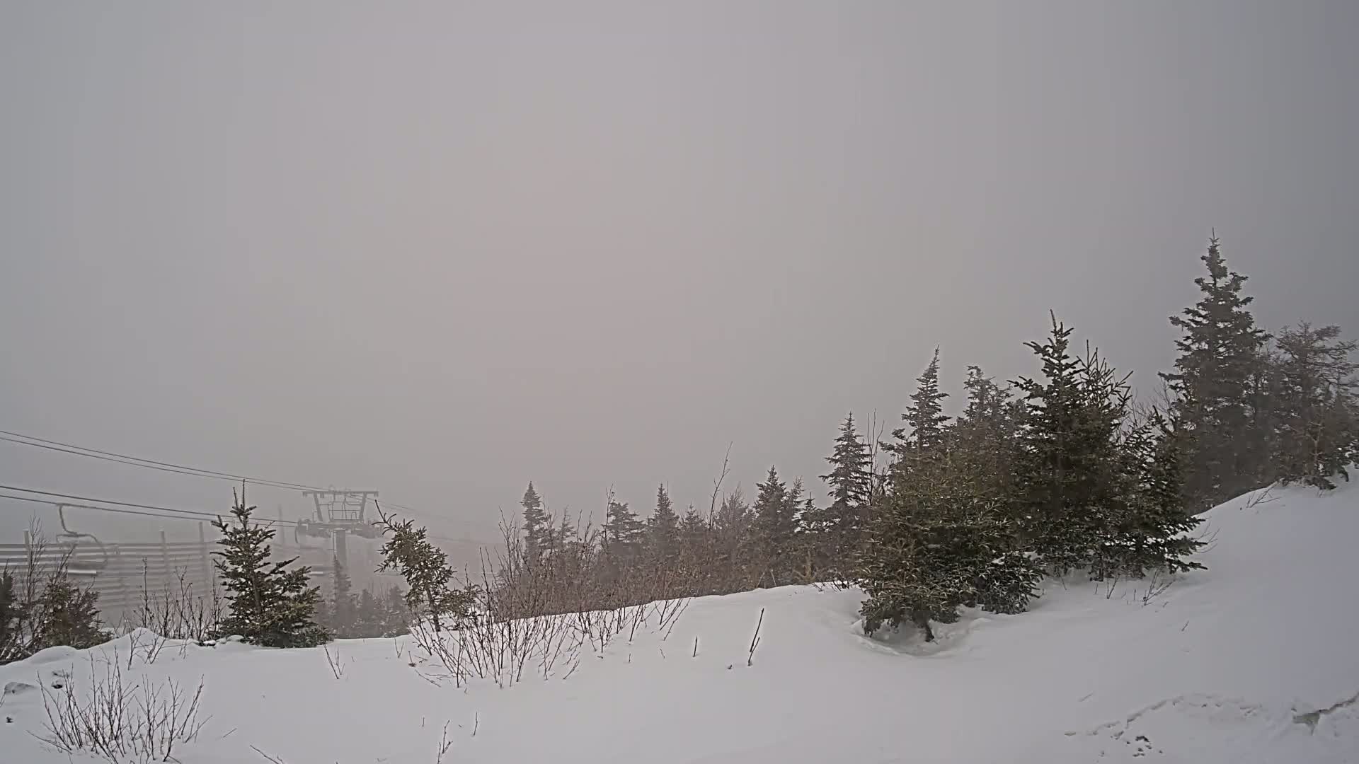 A snow-covered landscape with evergreen trees and a ski lift in the distance is obscured by heavy fog.