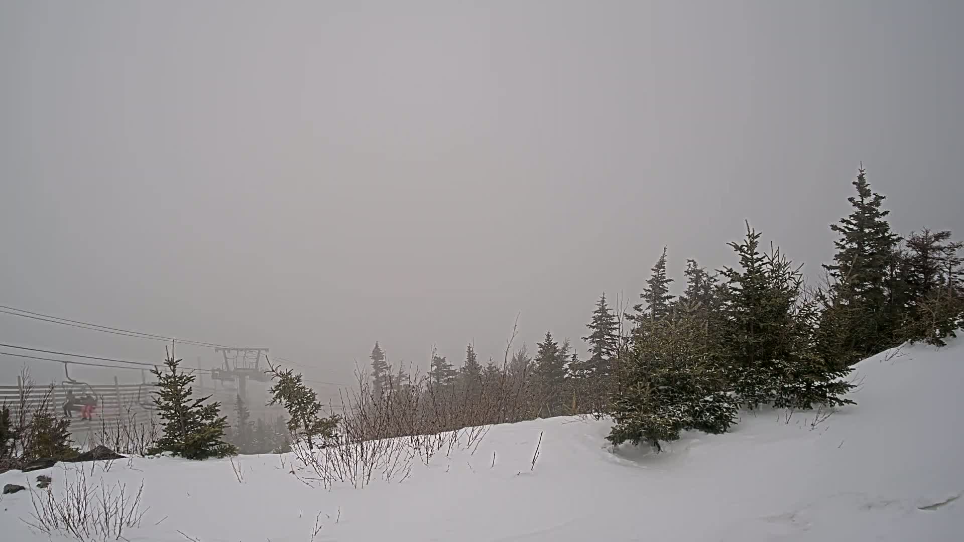 A snow-covered landscape with evergreen trees and a ski lift in the foggy distance.