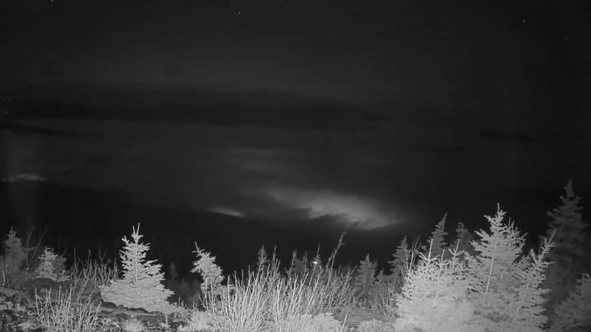 A nighttime view of a cloudy sky over a coniferous forest.