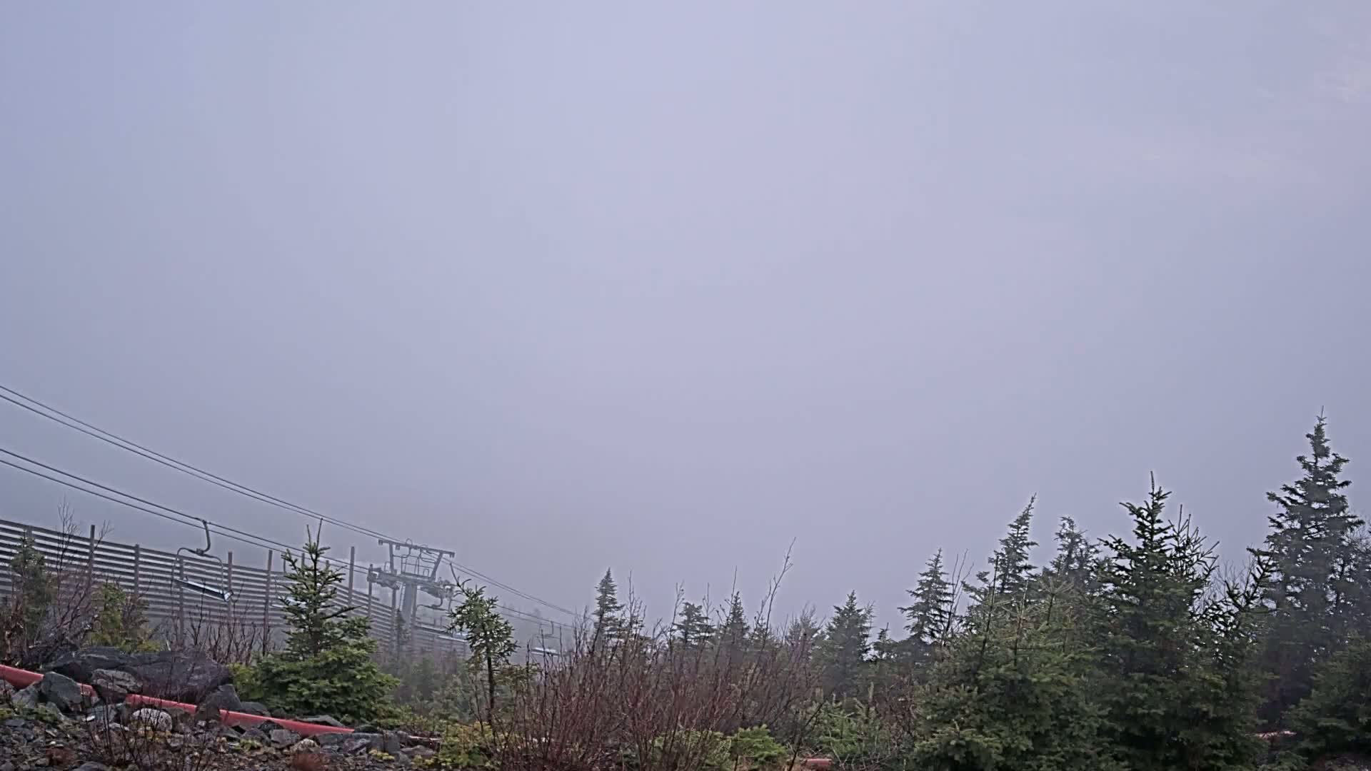 A foggy landscape shows a ski lift and evergreen trees under a gray sky.