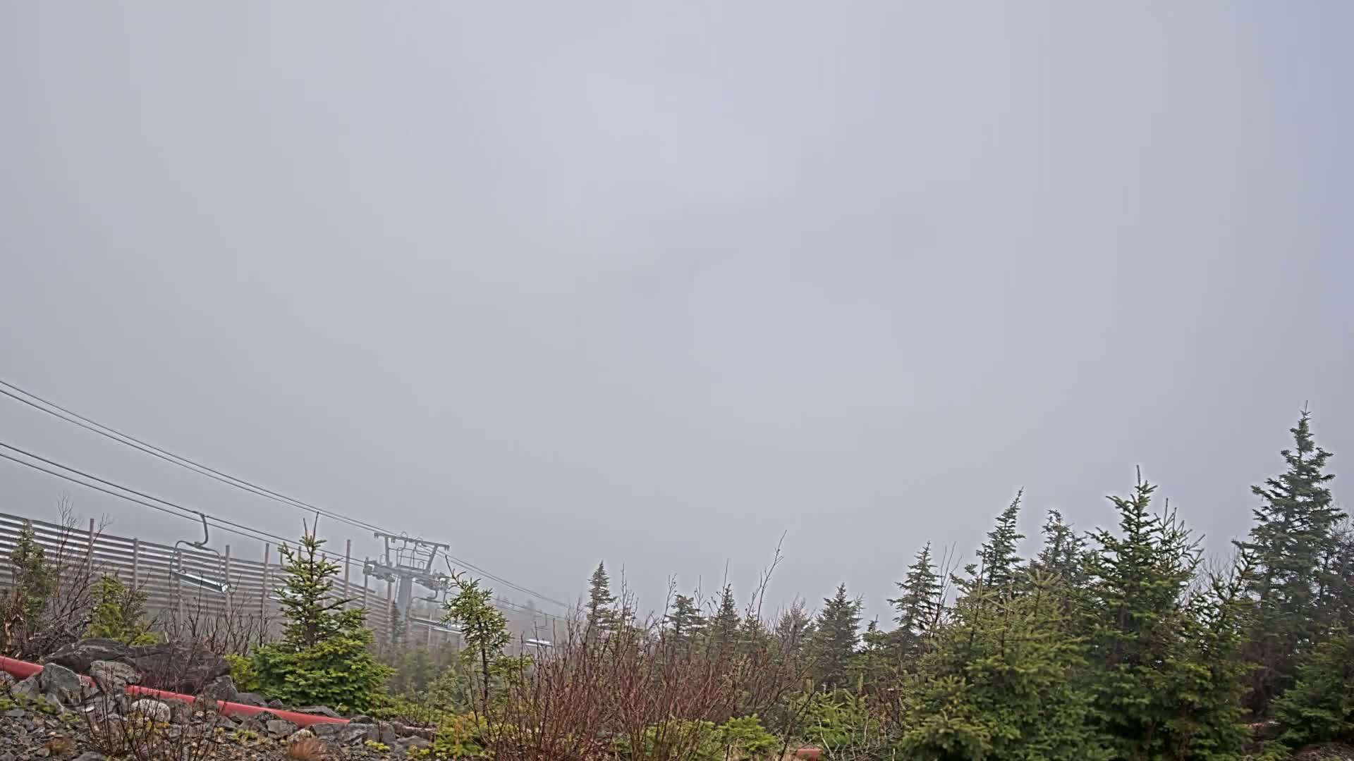 A foggy scene shows a chairlift and evergreen trees on a mountainside.