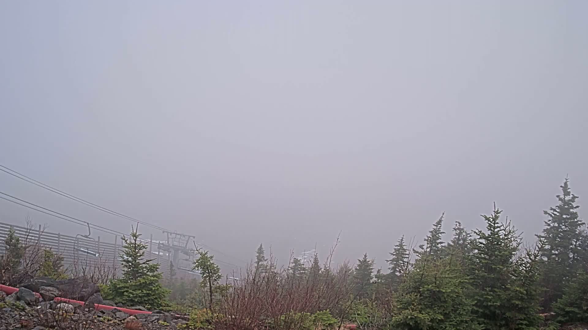 A ski lift and evergreen trees are barely visible through a thick fog.