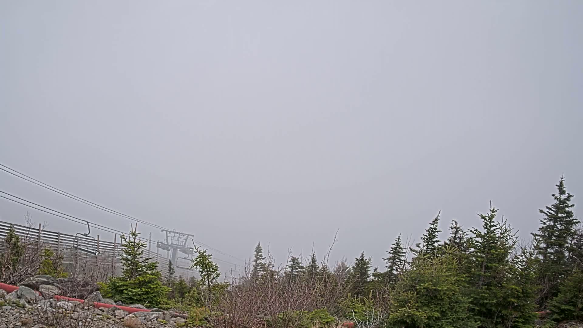 A foggy scene shows a ski lift and evergreen trees on a mountainside.