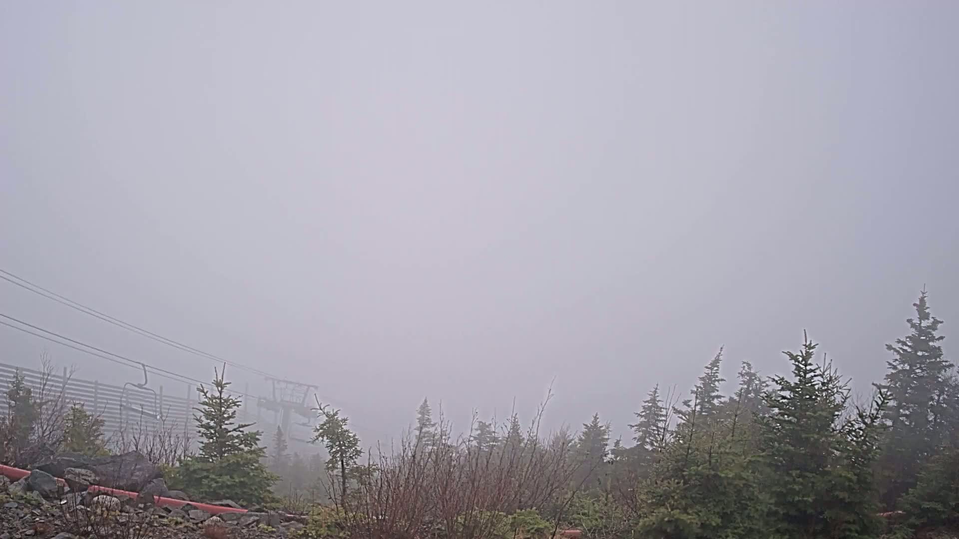 A foggy landscape shows a ski lift partially obscured by evergreens and a thick fog.
