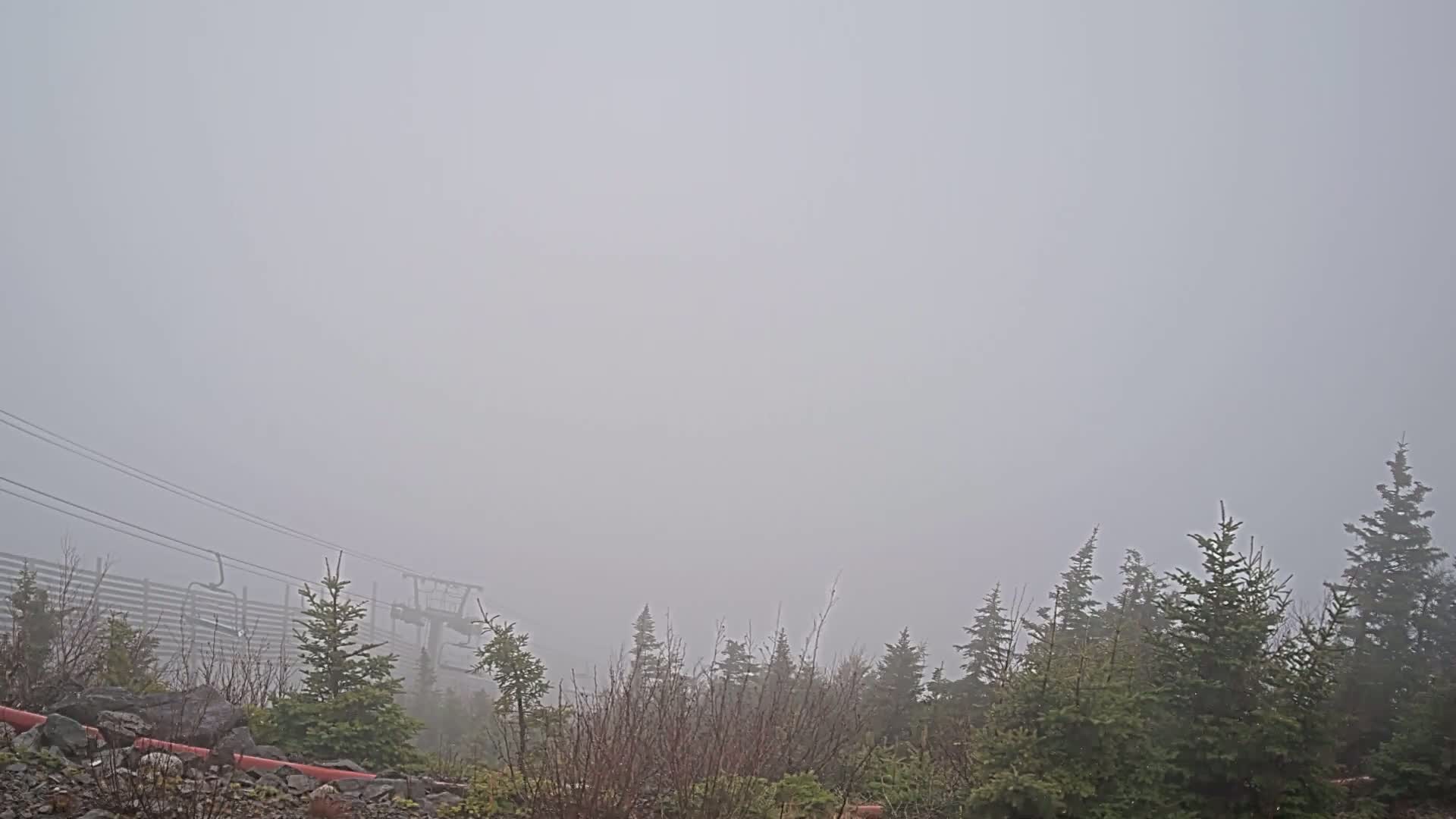A foggy scene shows evergreen trees and a ski lift partially obscured by heavy fog.