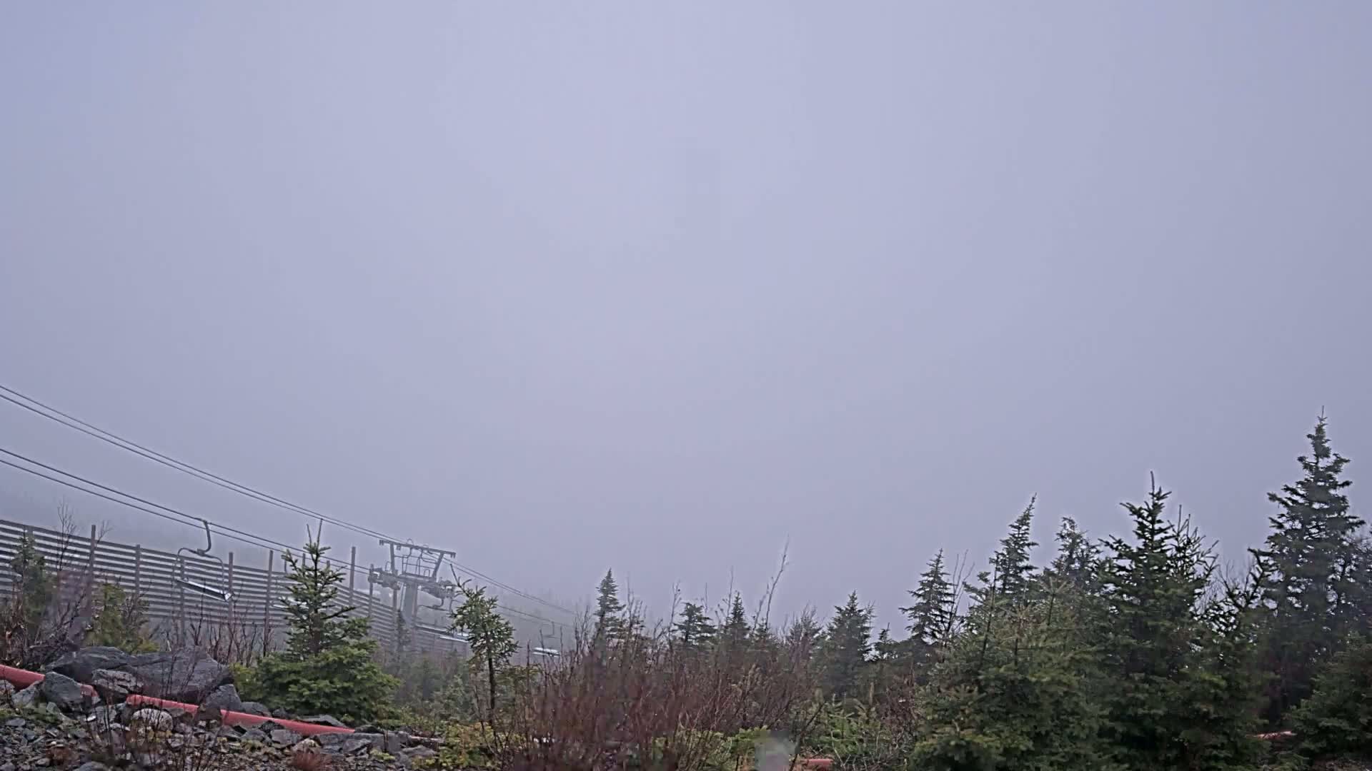 A foggy landscape shows a ski lift partially obscured by fog, behind a line of evergreen trees and a wooden fence.