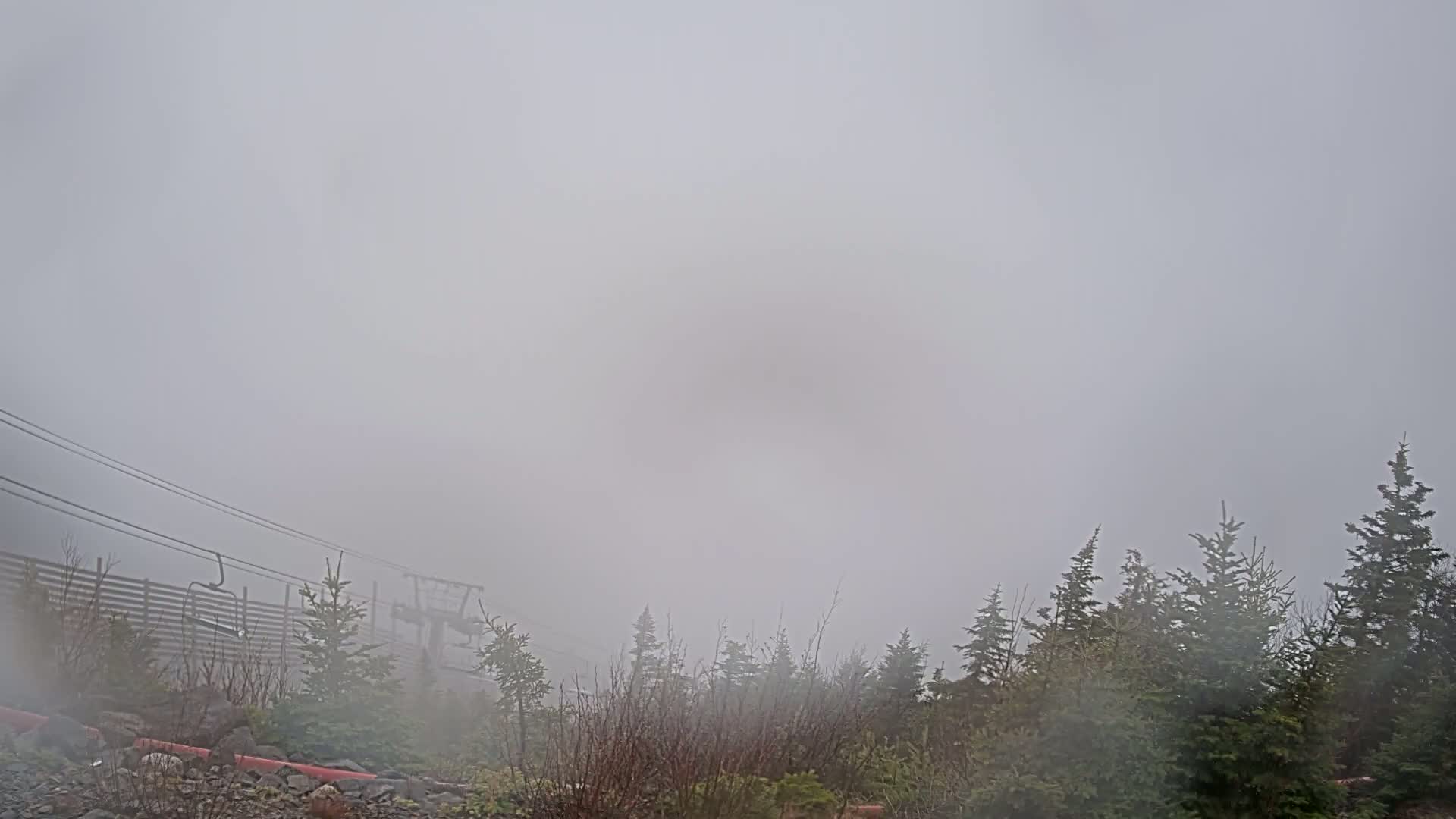 A thick fog obscures a view of evergreen trees and a ski lift in the distance.