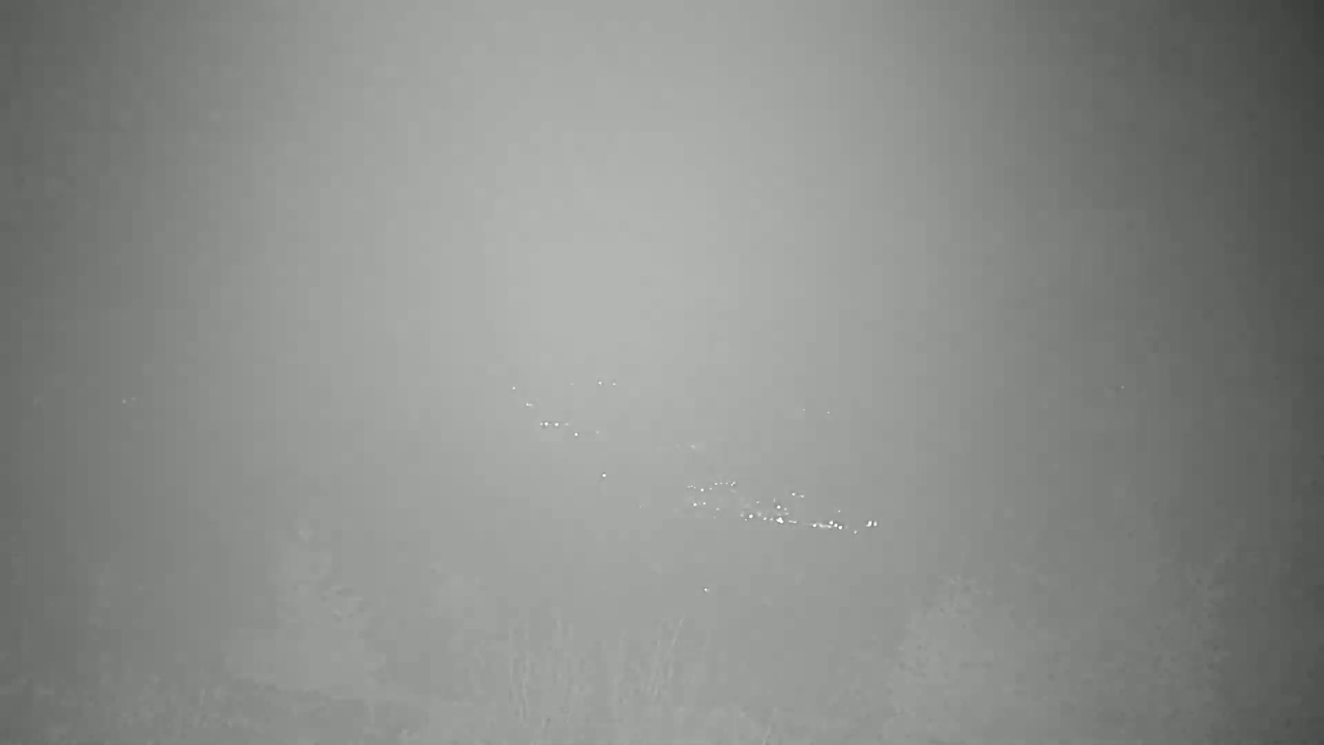 A flock of birds flies over a foggy landscape.