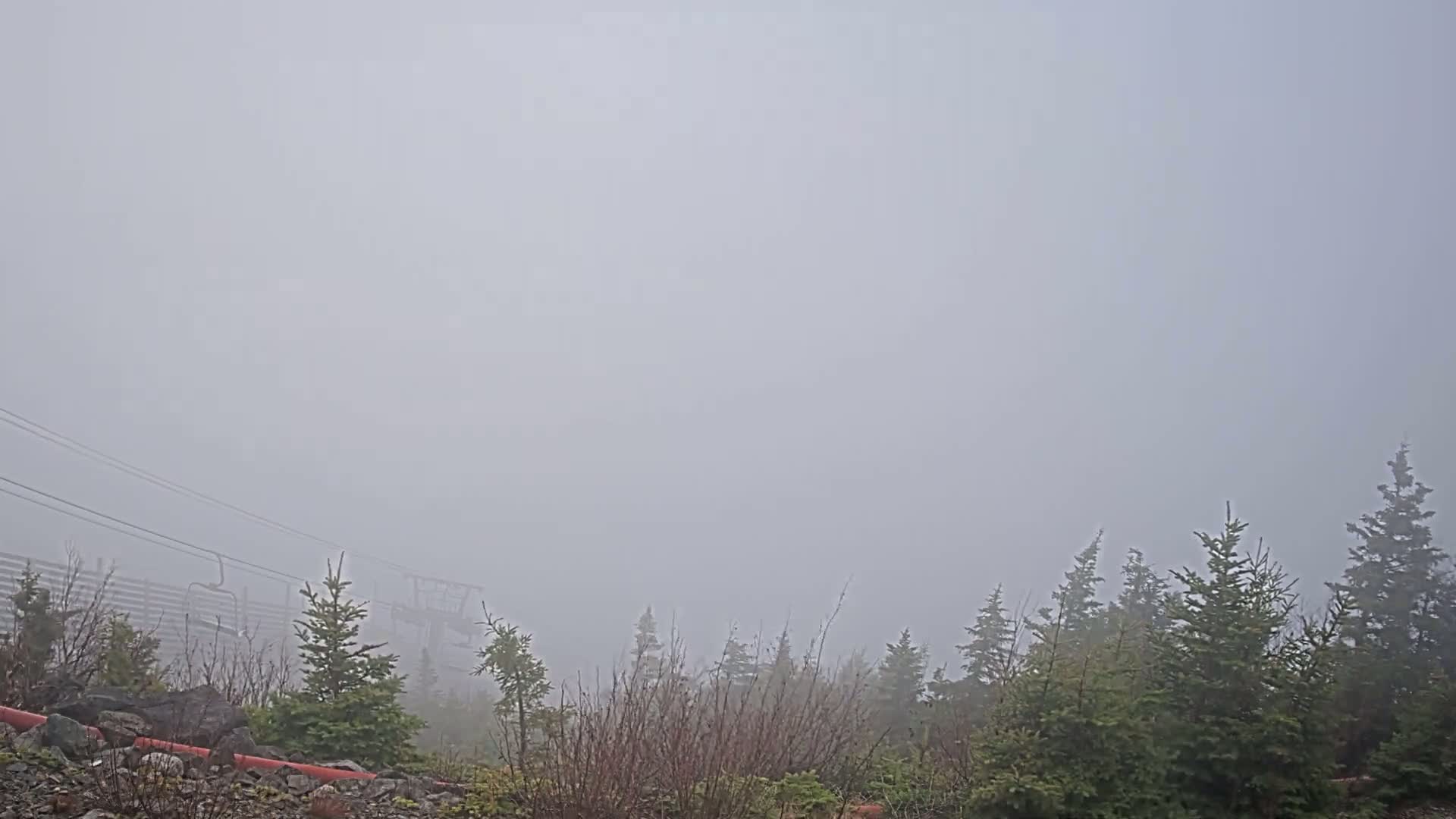 A foggy scene shows a ski lift partially obscured by fog and evergreens in the foreground.