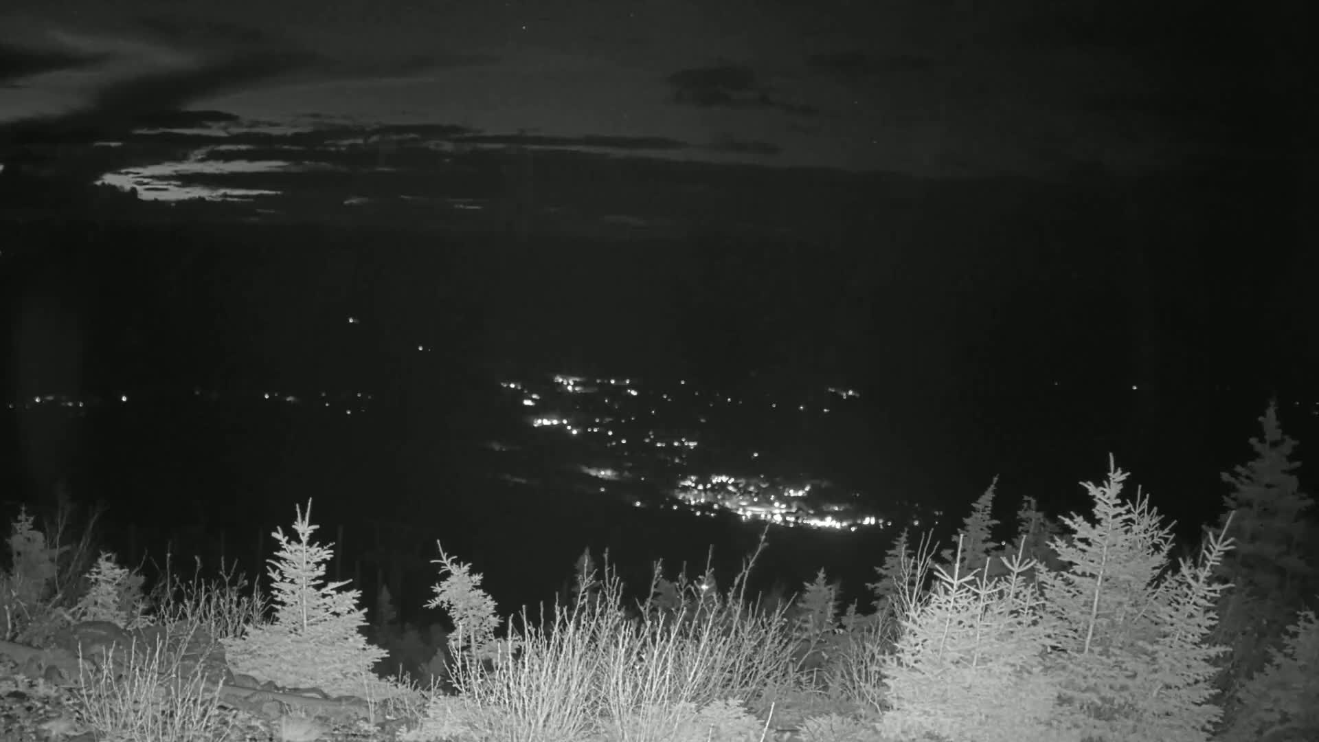 A nighttime view from a high vantage point shows a distant town's lights spread across a dark valley, partially obscured by a foreground of silhouetted evergreens under a cloudy sky.