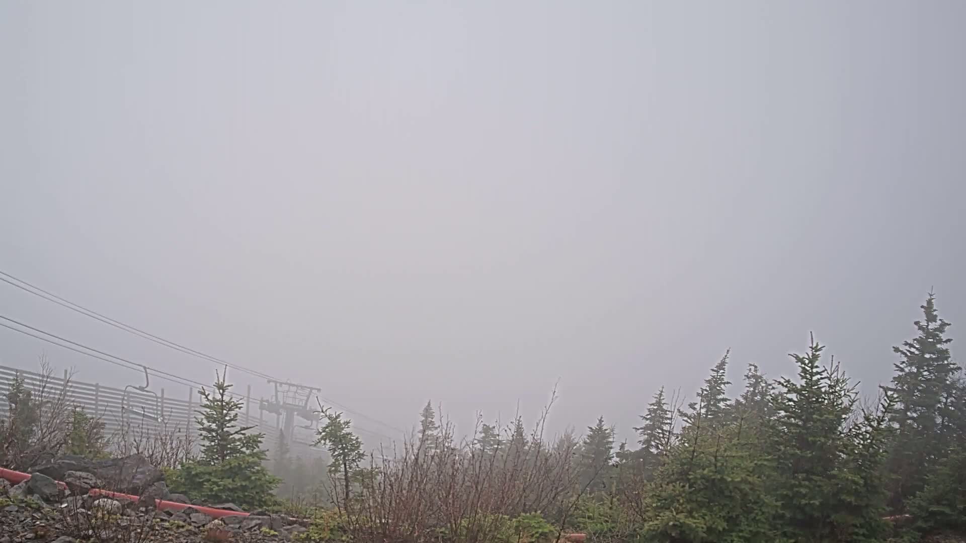 A foggy scene shows a ski lift and evergreen trees.