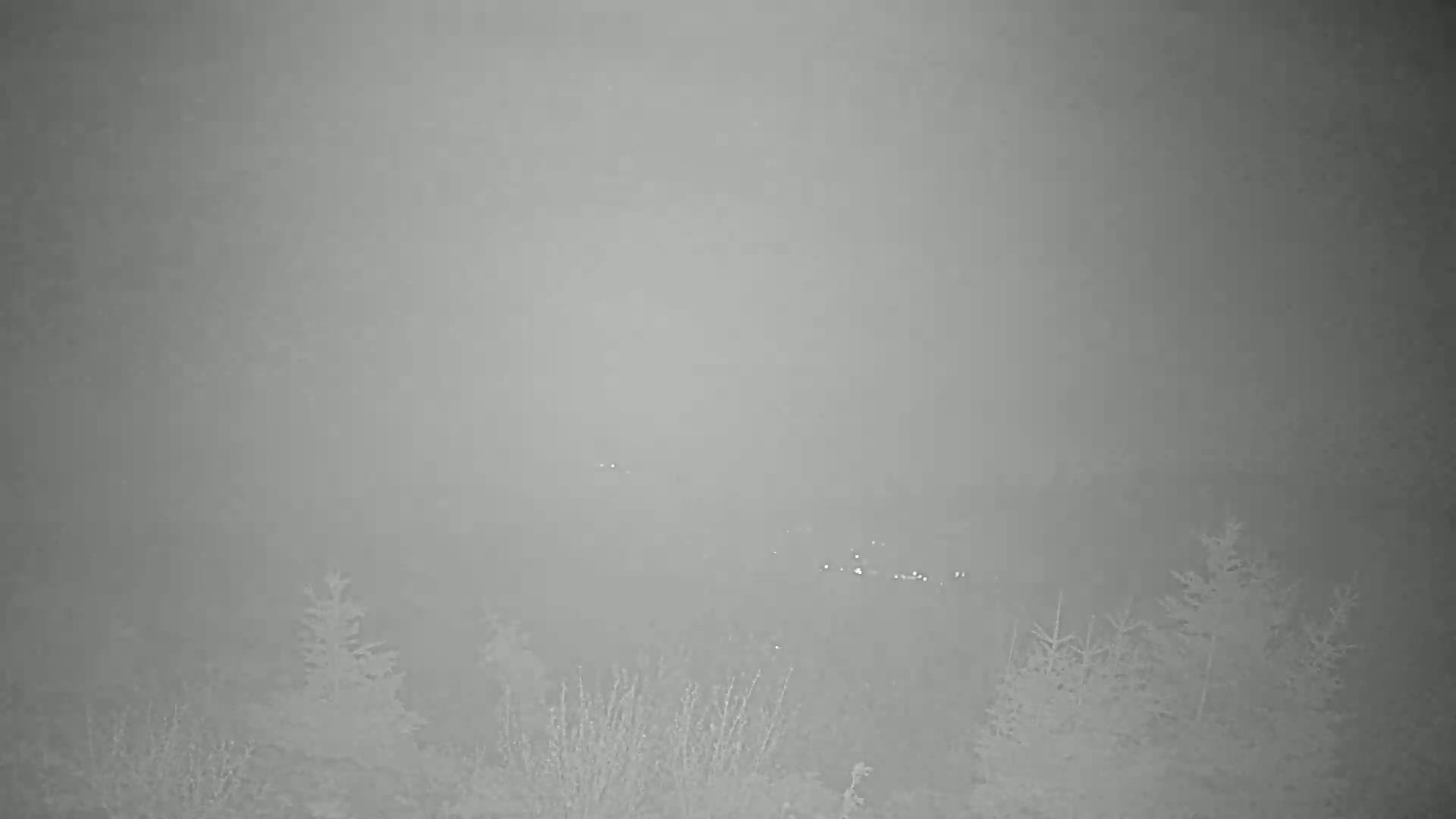 A foggy landscape at night shows a few indistinct lights in the distance and several small evergreen trees in the foreground.