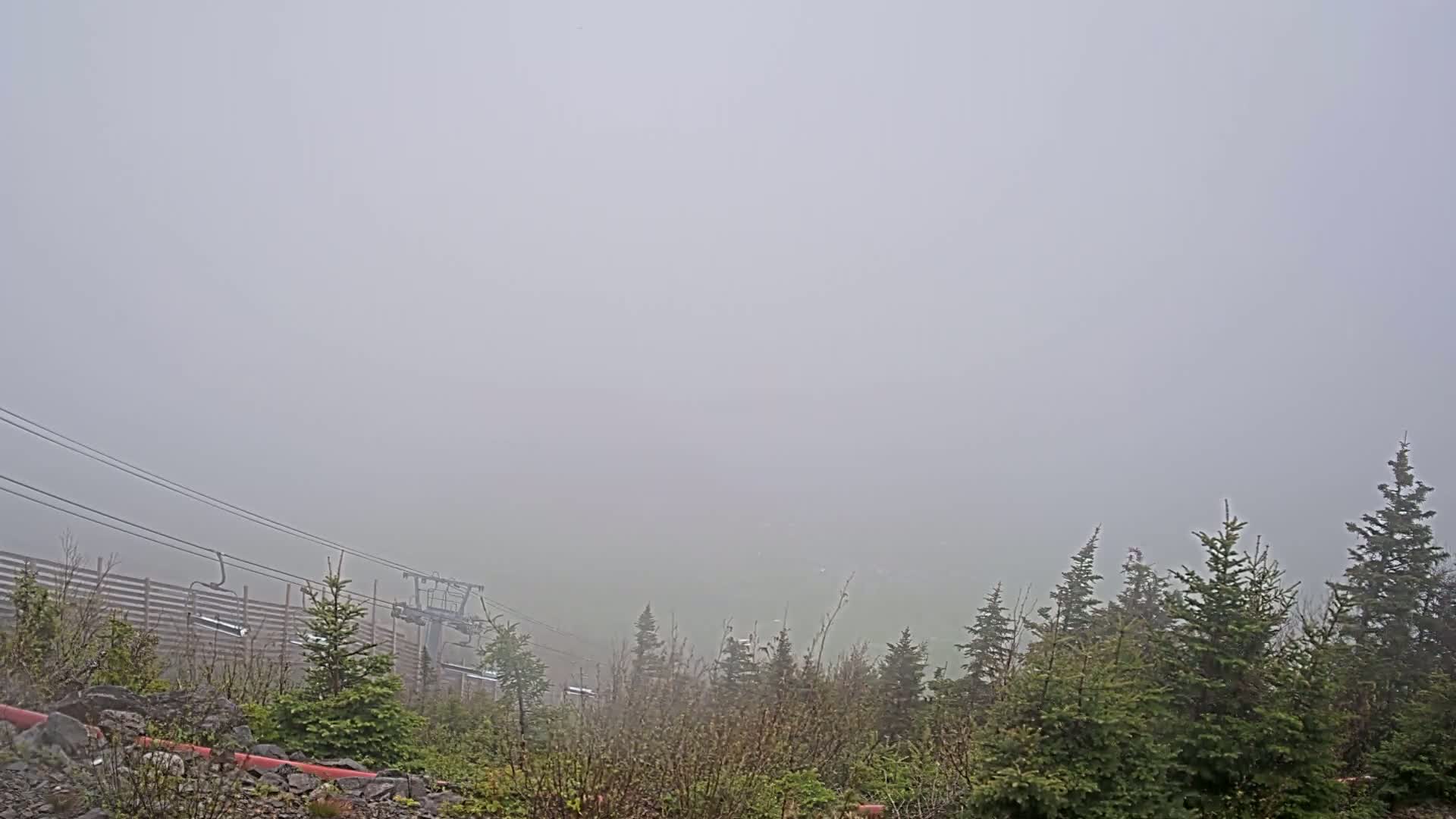 A ski lift and evergreen trees are partially obscured by dense fog.