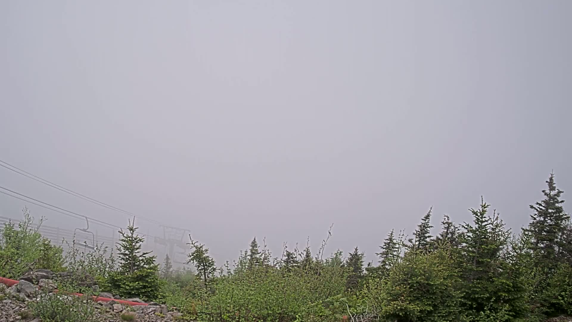 A foggy landscape shows a line of evergreen trees in the foreground, with a chairlift and more trees barely visible through the thick fog in the background.