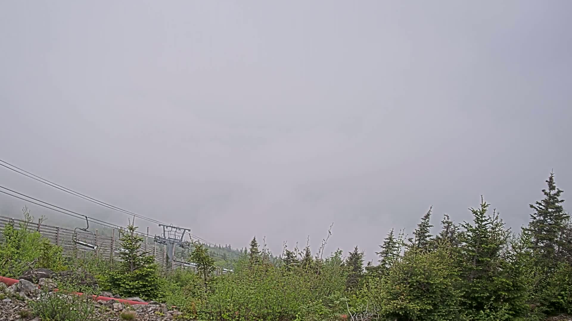 A chairlift ascends a foggy mountainside amongst low-lying evergreens.