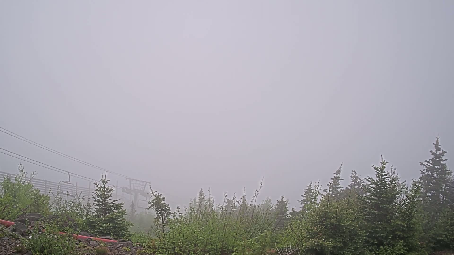 A ski lift is partially visible through a thick fog obscuring a line of evergreen trees and low-lying shrubs.