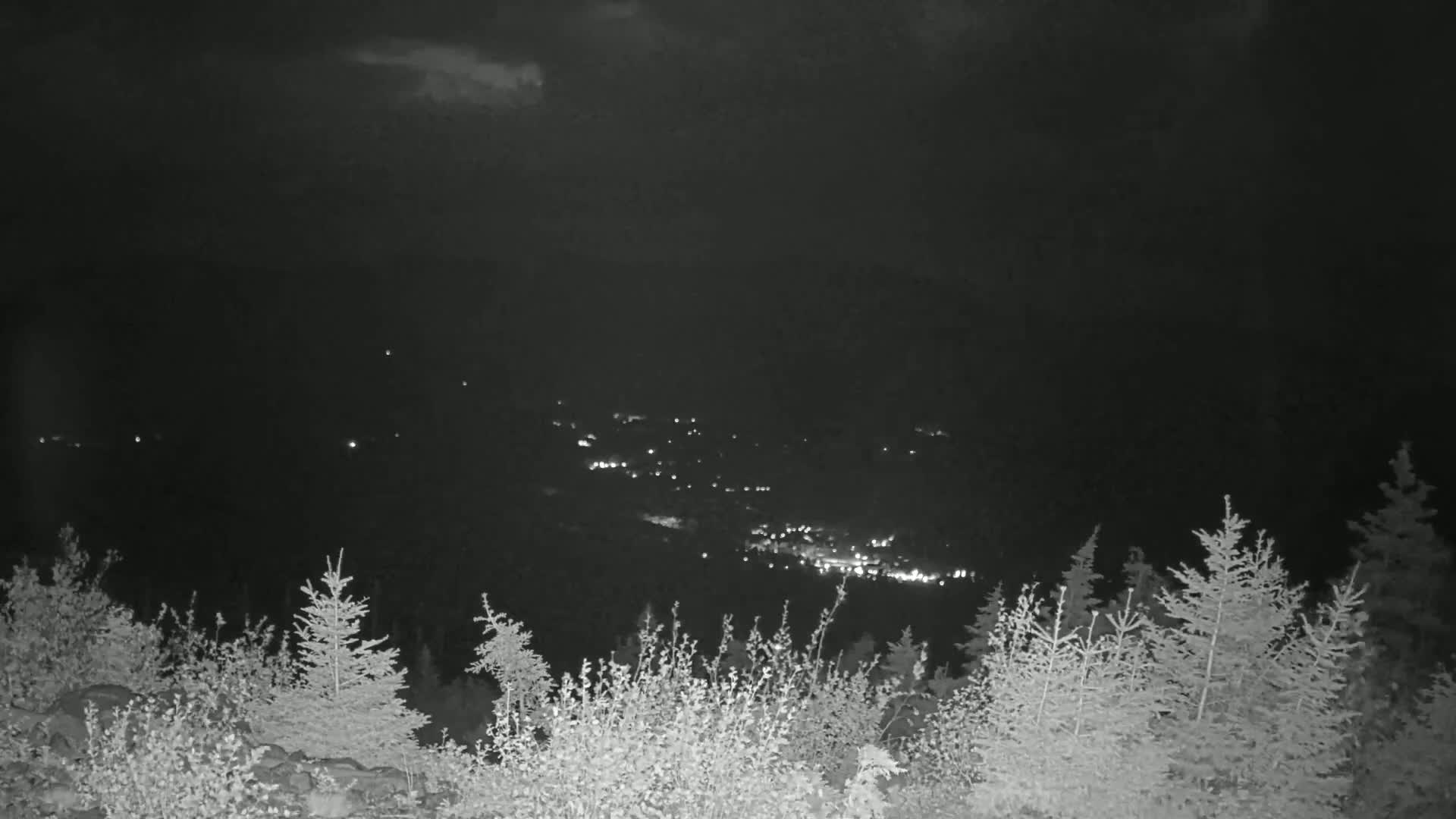 A nighttime view from a high vantage point shows a valley with scattered lights below a dark sky with some clouds, partially obscured by a foreground of low-lying trees and bushes.