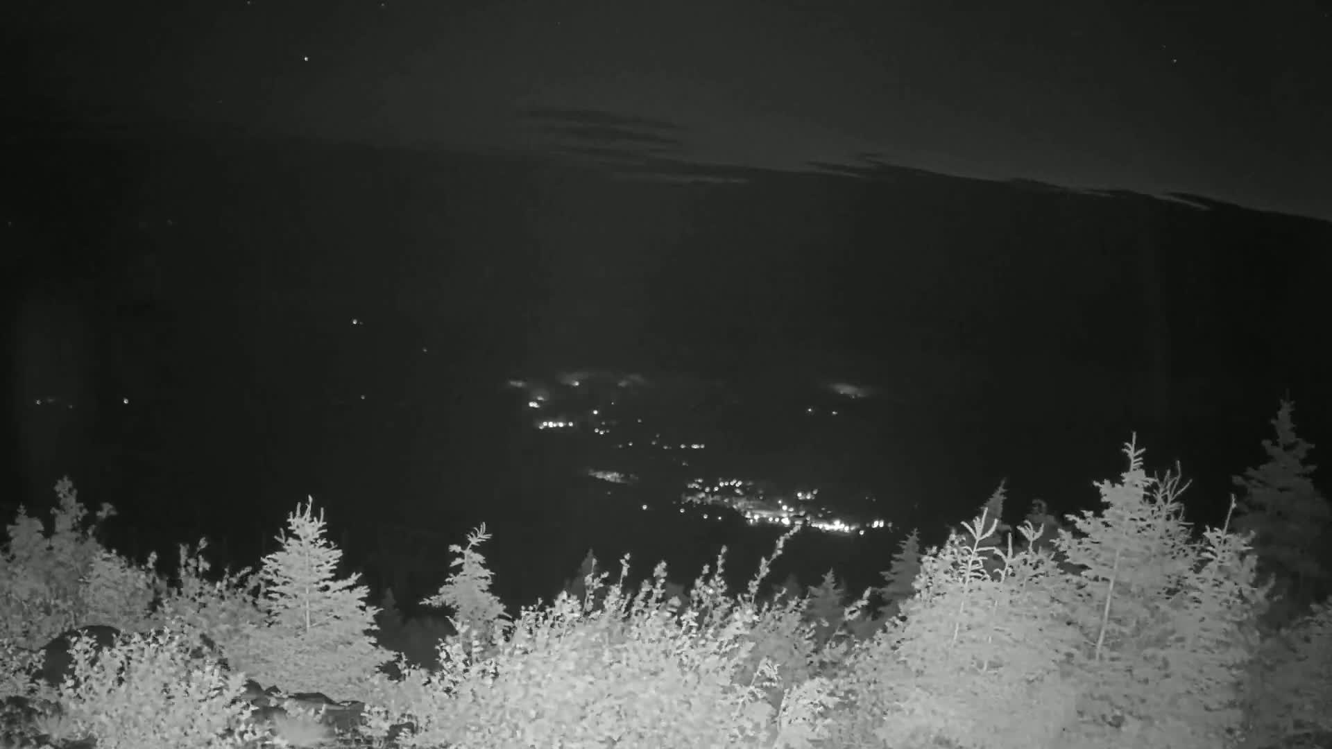 A nighttime view from a high vantage point shows a valley with distant lights below, partially obscured by evergreen trees in the foreground under a clear, starry sky.