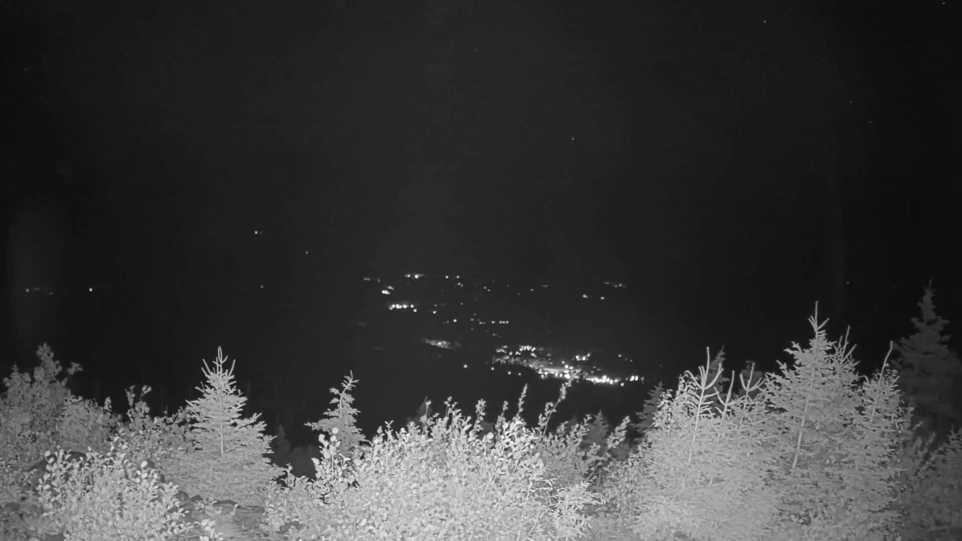 A nighttime view from a wooded area shows a distant valley with scattered lights.