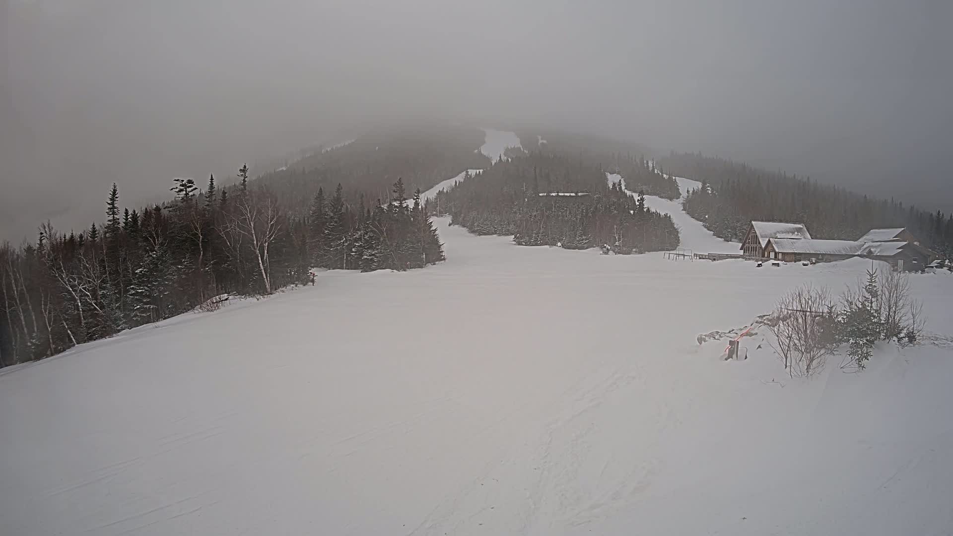 A snow-covered ski slope with a few buildings and a forest in the background under foggy conditions.