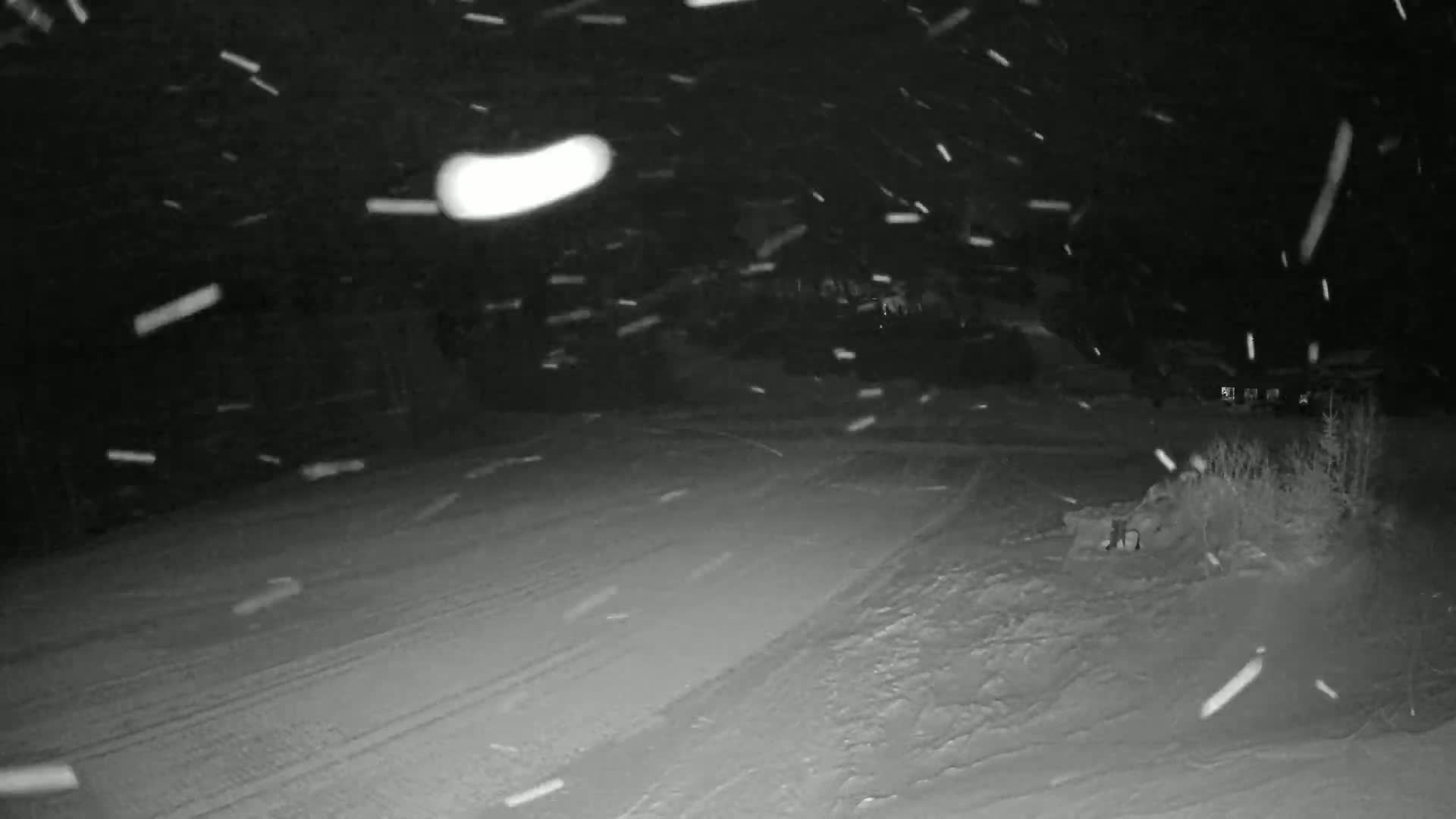 A snow-covered ground is seen at night under heavy snowfall.