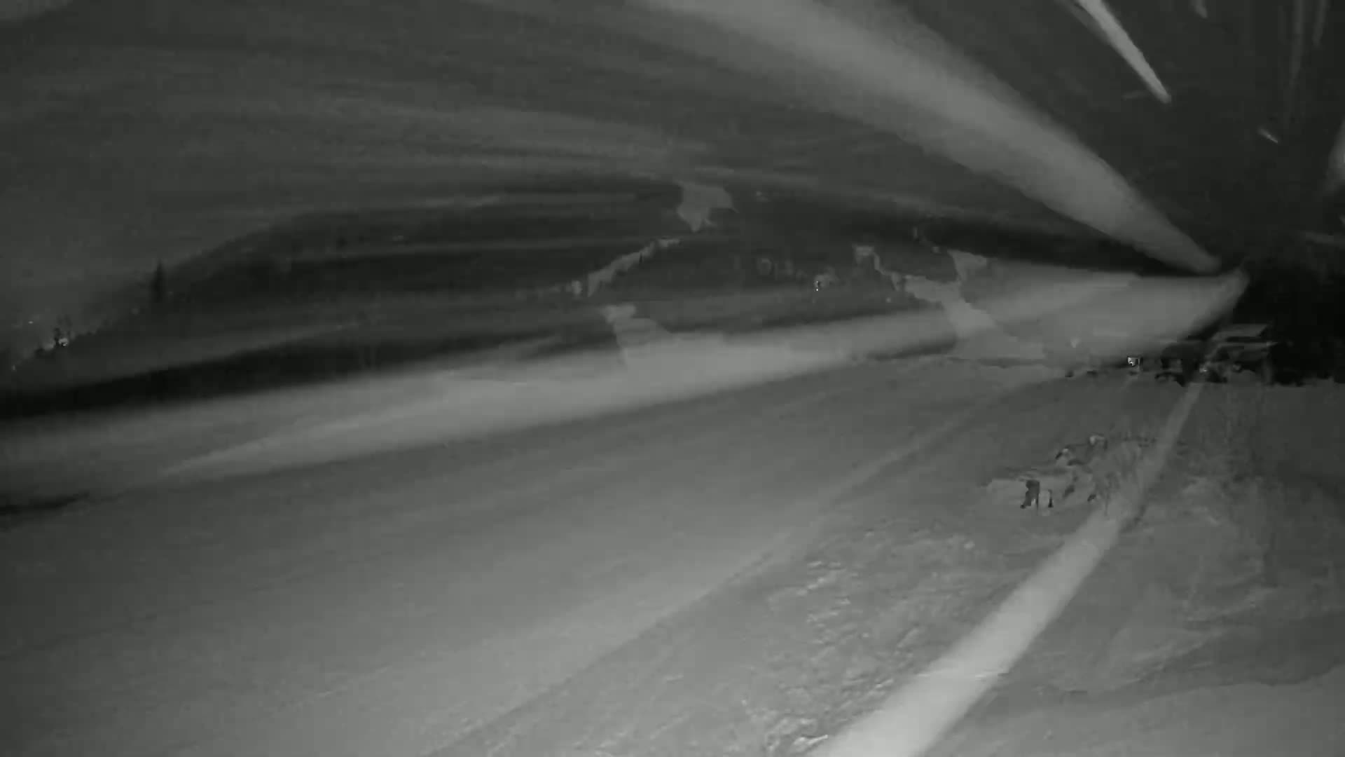 A snow-covered road is seen at night, with streaks of blowing snow visible in the dark.
