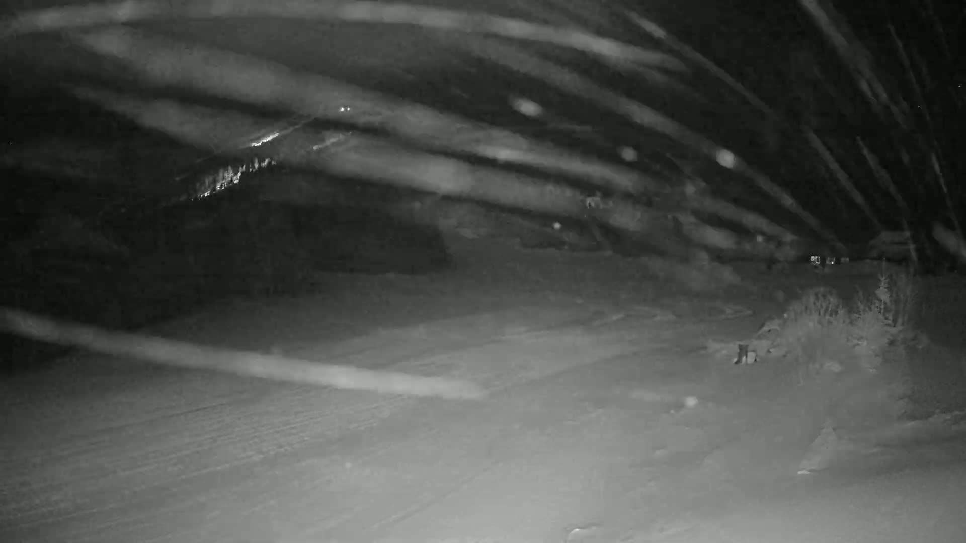 A snow-covered landscape is visible at night, with streaks of snow blowing across a road and across the field of view.