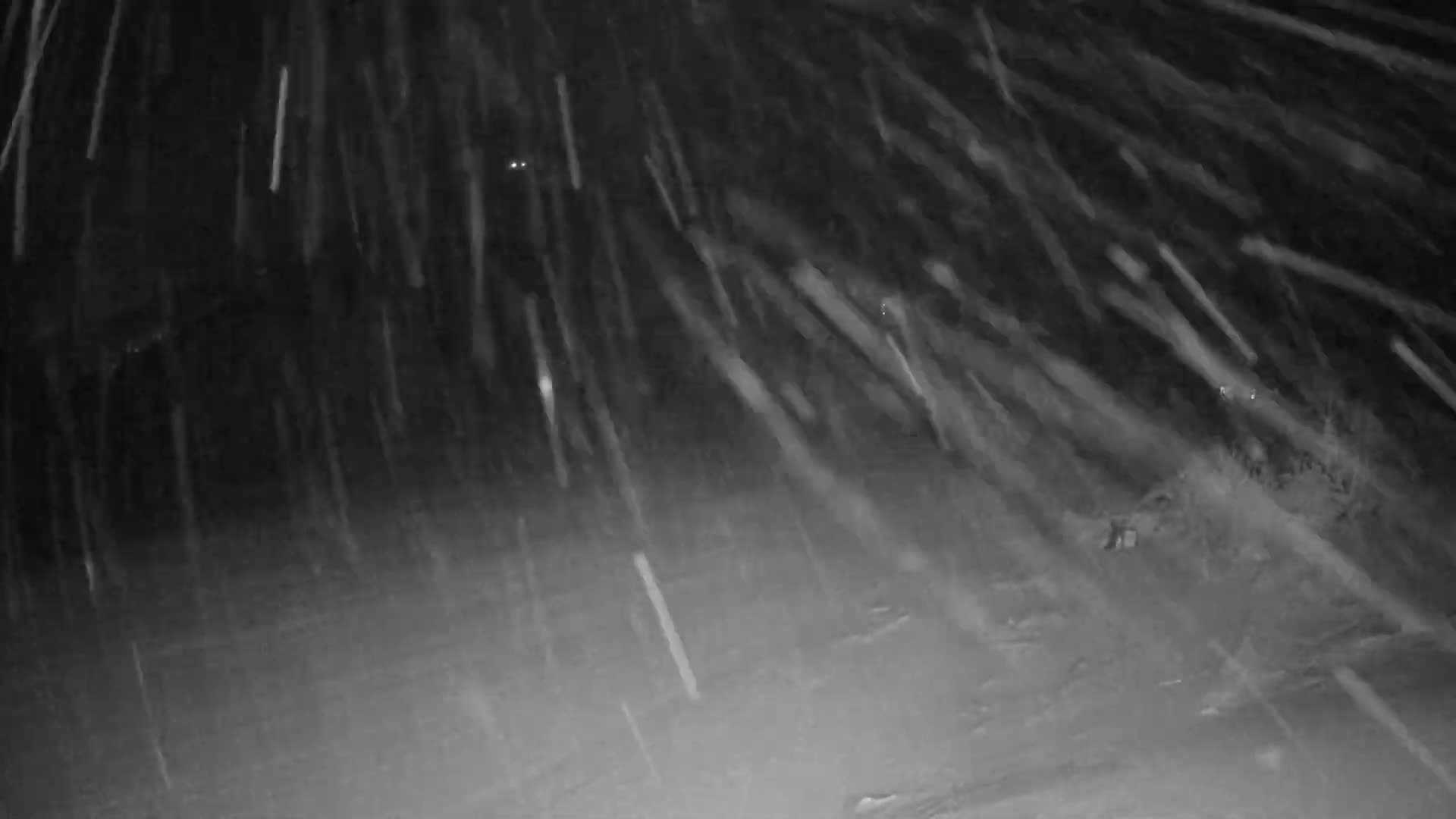 Heavy snowfall at night obscures the ground and some vegetation.