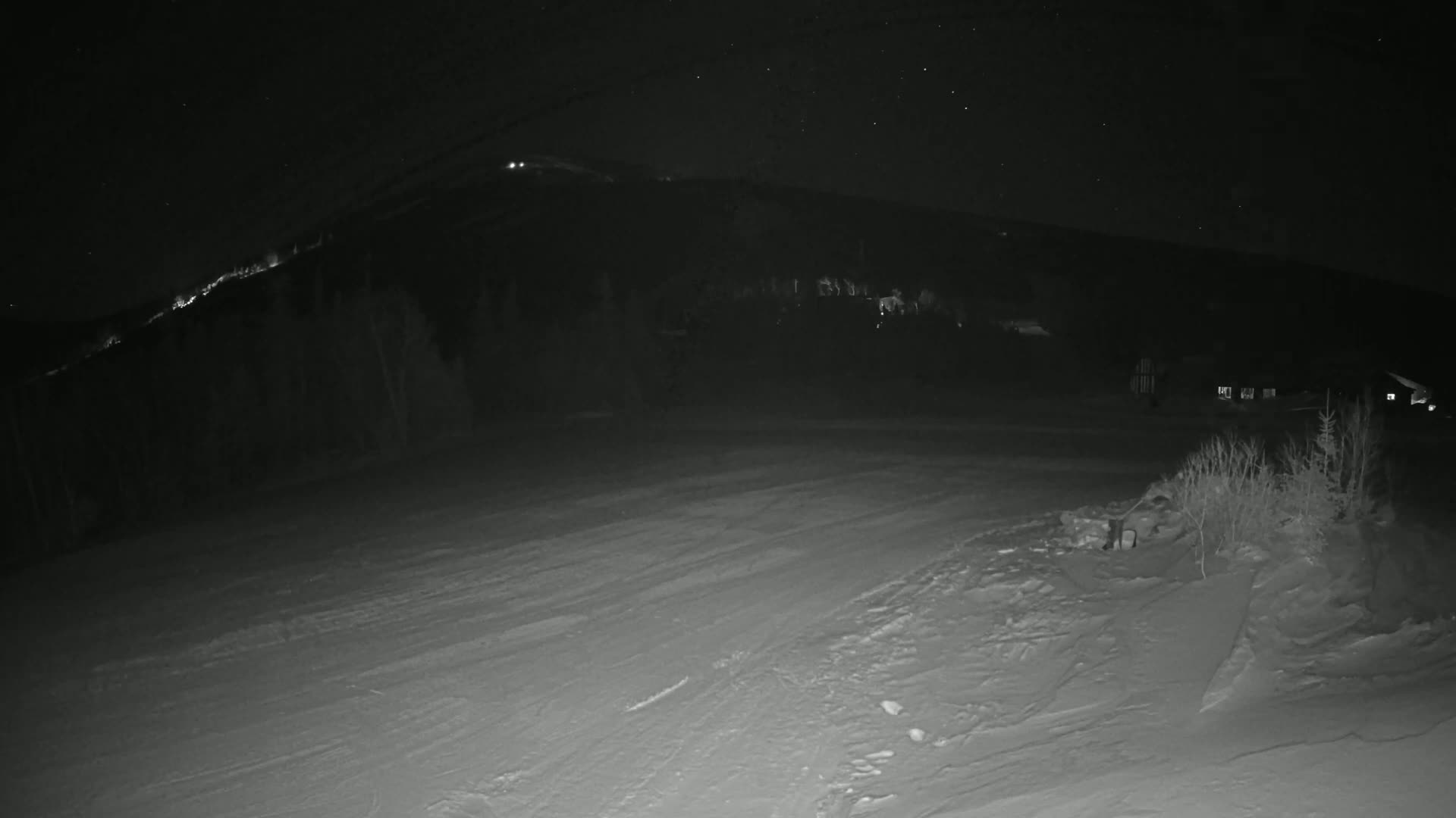 A snow-covered landscape at night, under a starry sky, shows a dark hillside in the background with a few lights visible, and some frost-covered bushes in the foreground.