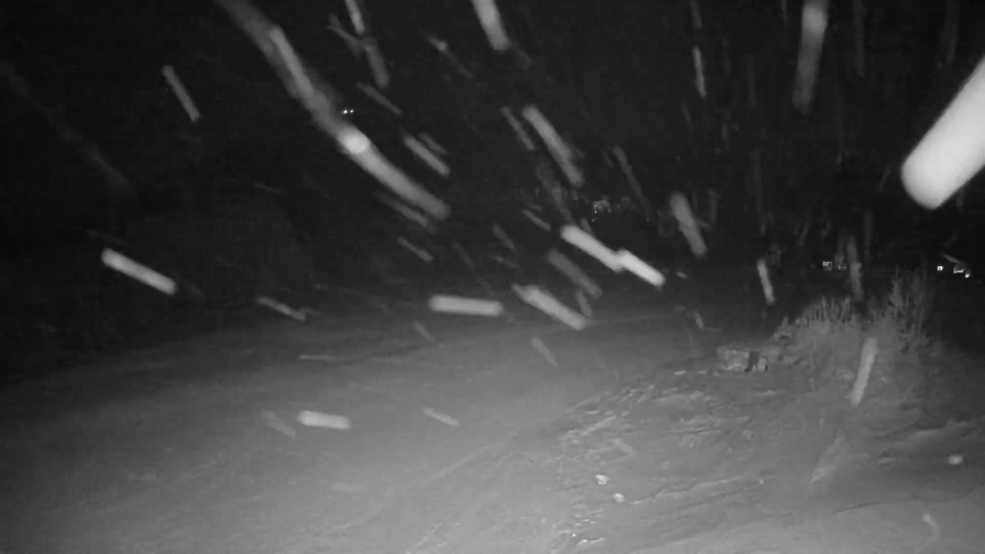 A nighttime snowstorm blankets a snow-covered ground with heavy snowfall.