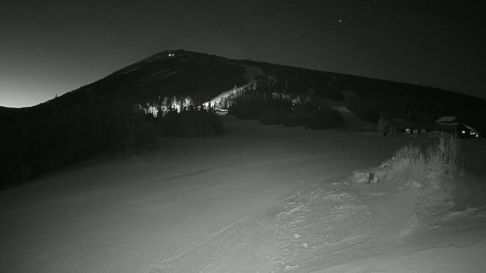 A snow-covered mountain slope at night, illuminated by lights at the peak and base, with a starry sky above.