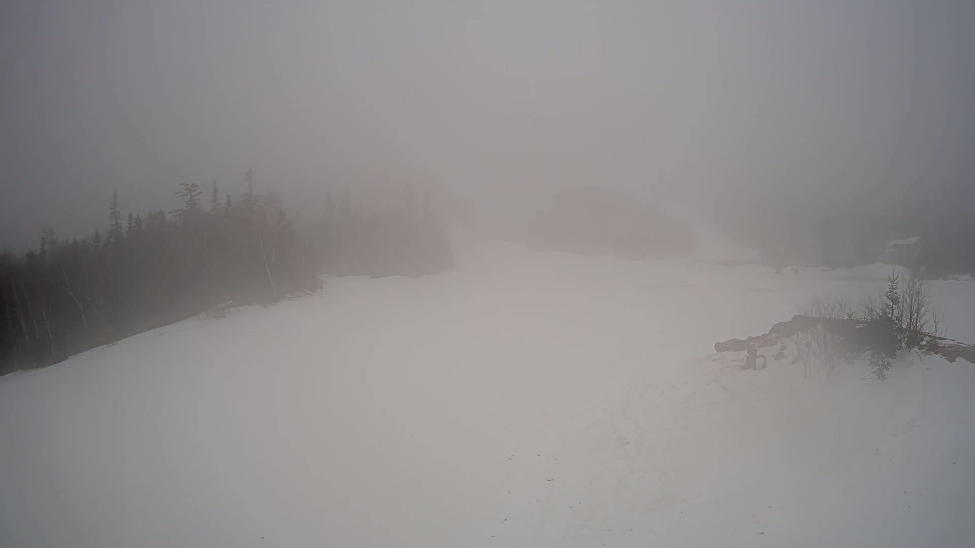 A snow-covered landscape is shrouded in dense fog, with dark evergreen trees barely visible in the background.