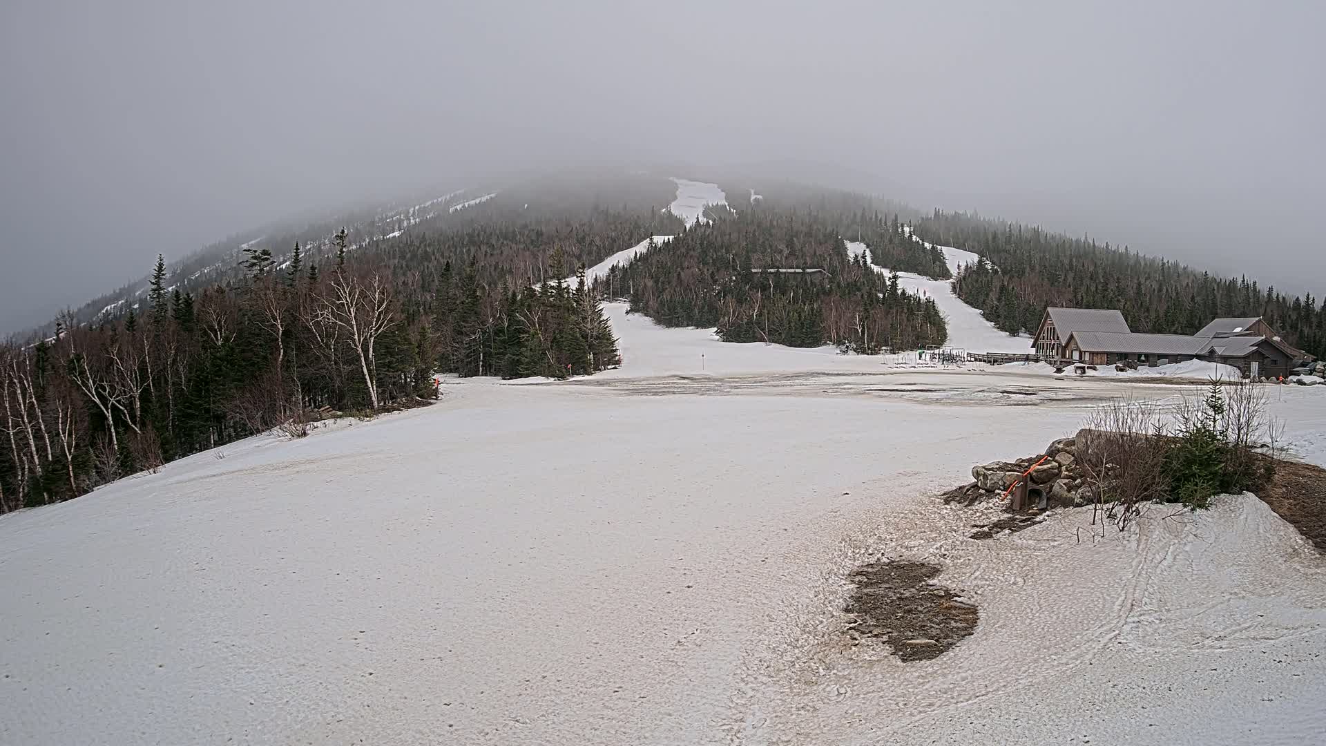 A snow-covered ski slope leads to a ski lodge nestled among a coniferous forest on a foggy day.