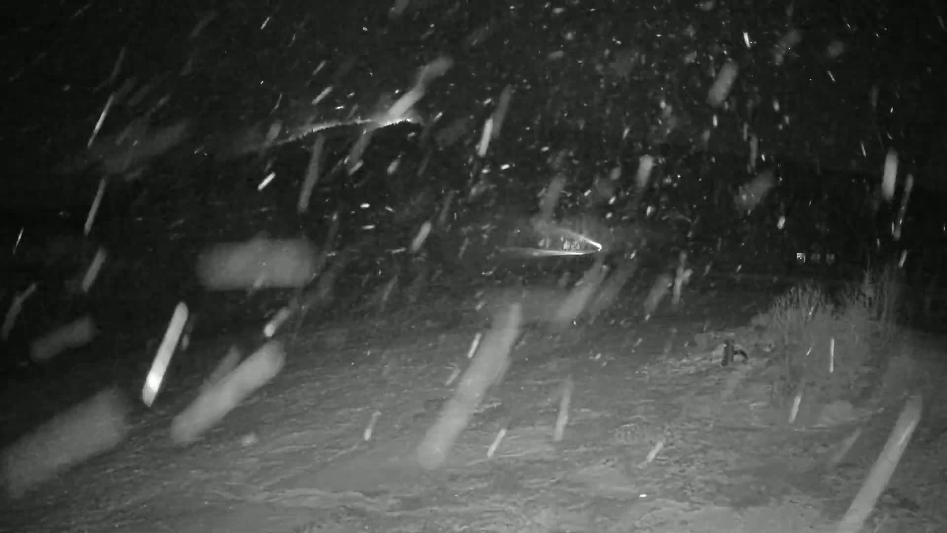 A nighttime scene of heavy snowfall shows a snow-covered ground with a faint light in the distance.