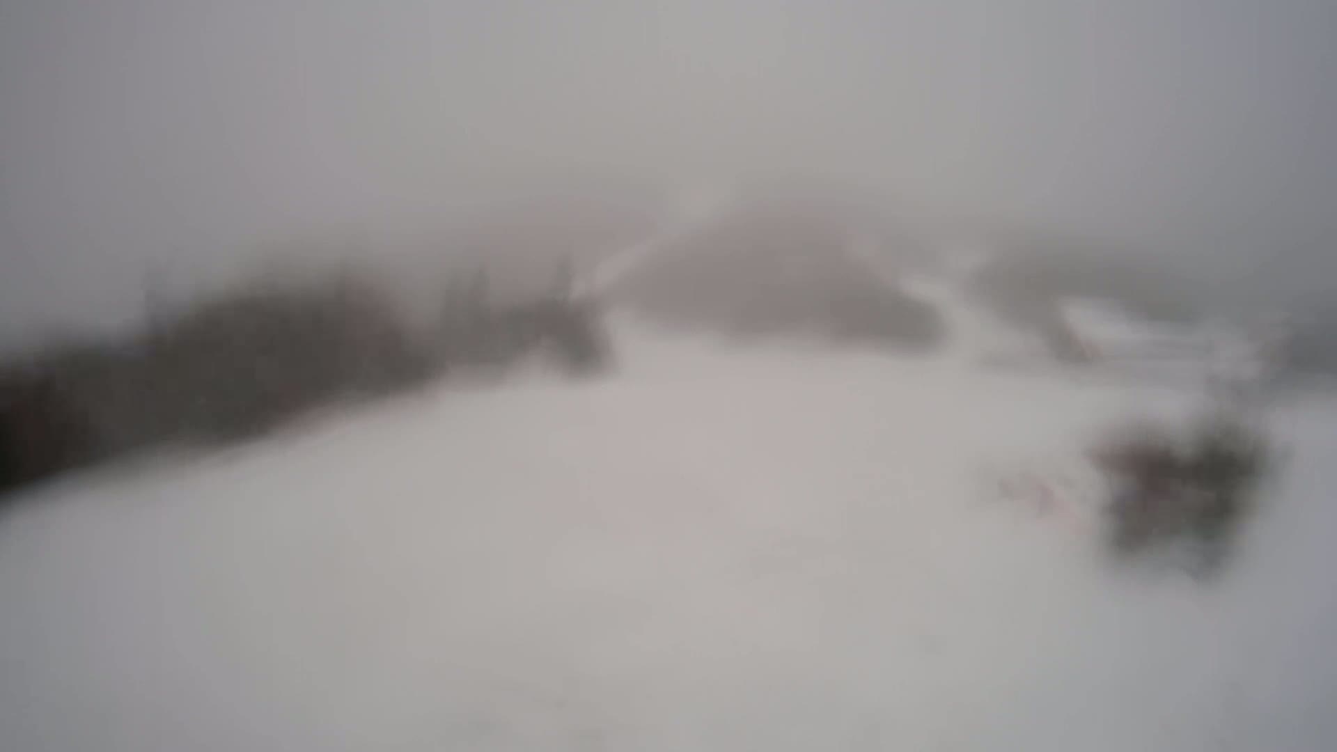 A blurry, snow-covered landscape is visible through a hazy, snowy atmosphere.