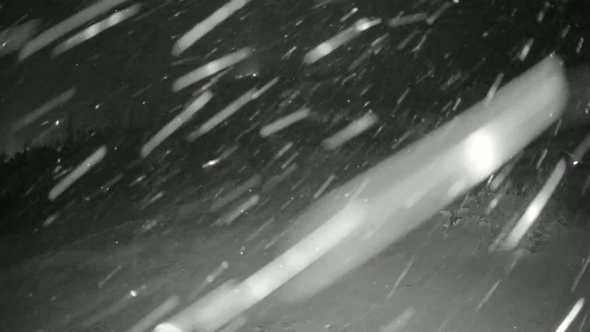 Streaks of snow fall heavily at night.