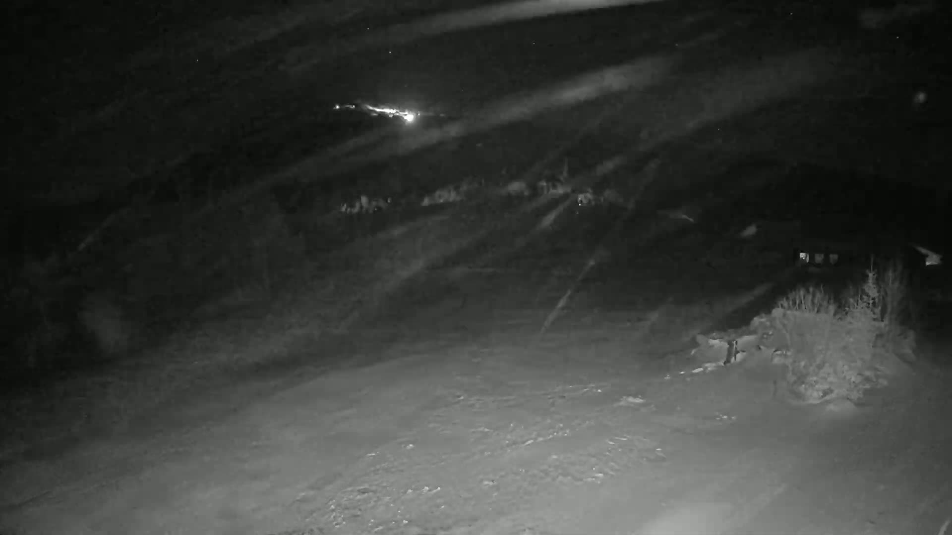 A snow-covered ground is visible at night under a sky with falling snow.
