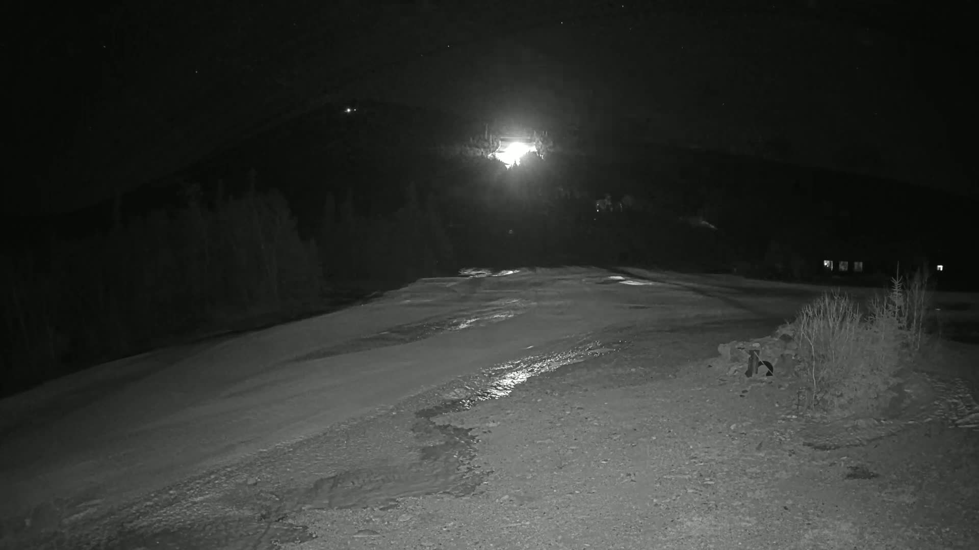 A nighttime, snow-covered ground with patches of meltwater, a bright light shining from a distant hillside, and a dark, tree-lined background.