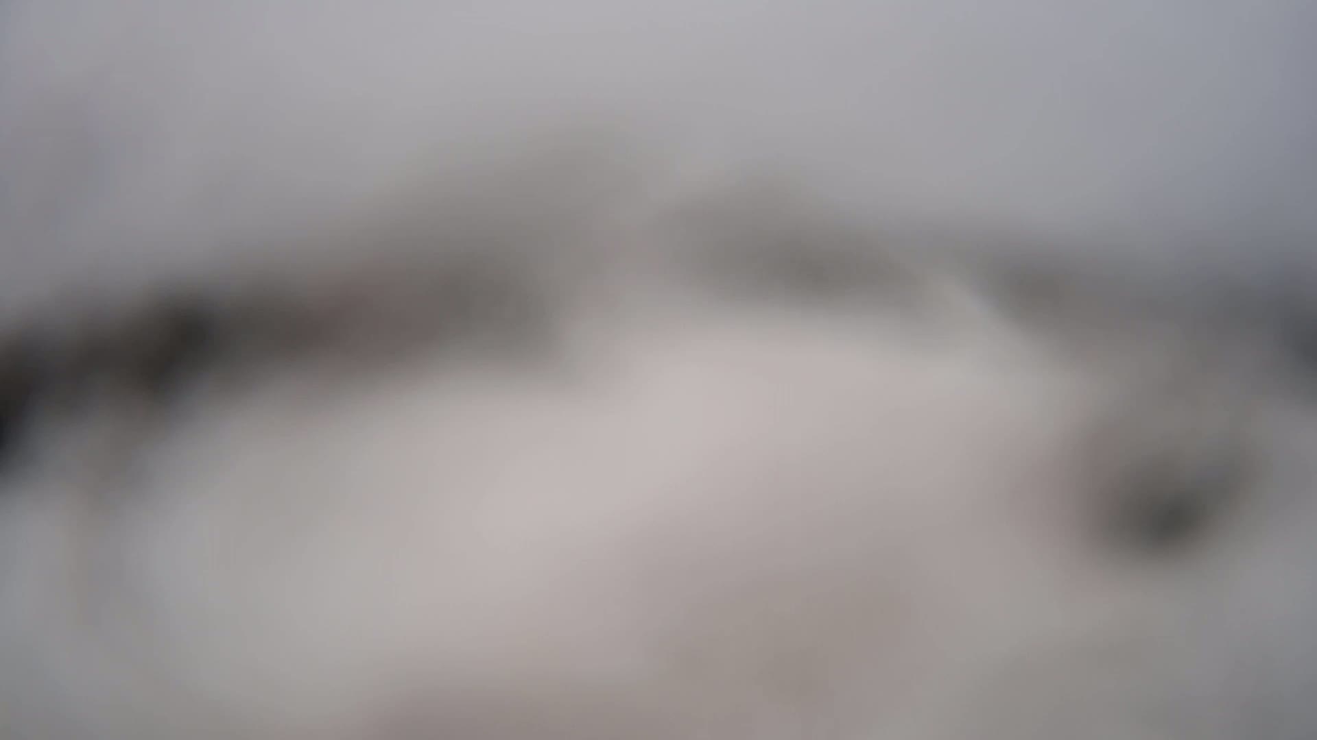 A blurry image shows indistinct dark shapes in a foggy or hazy gray landscape.