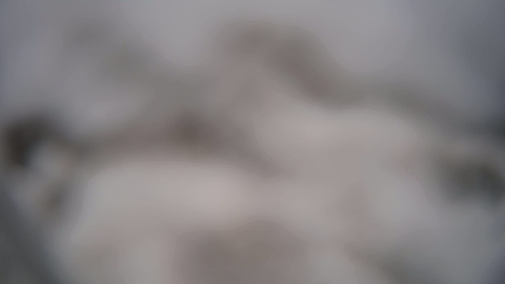 A blurry image shows indistinct gray and white shapes, possibly suggesting a snowy or overcast outdoor scene.