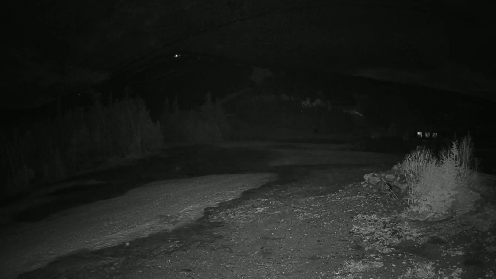 A dark, nighttime scene shows a mostly flat, gravelly area with sparse vegetation in the foreground, a dark body of water or wet ground in the midground, and a dark line of trees and a distant hill under a seemingly clear night sky.