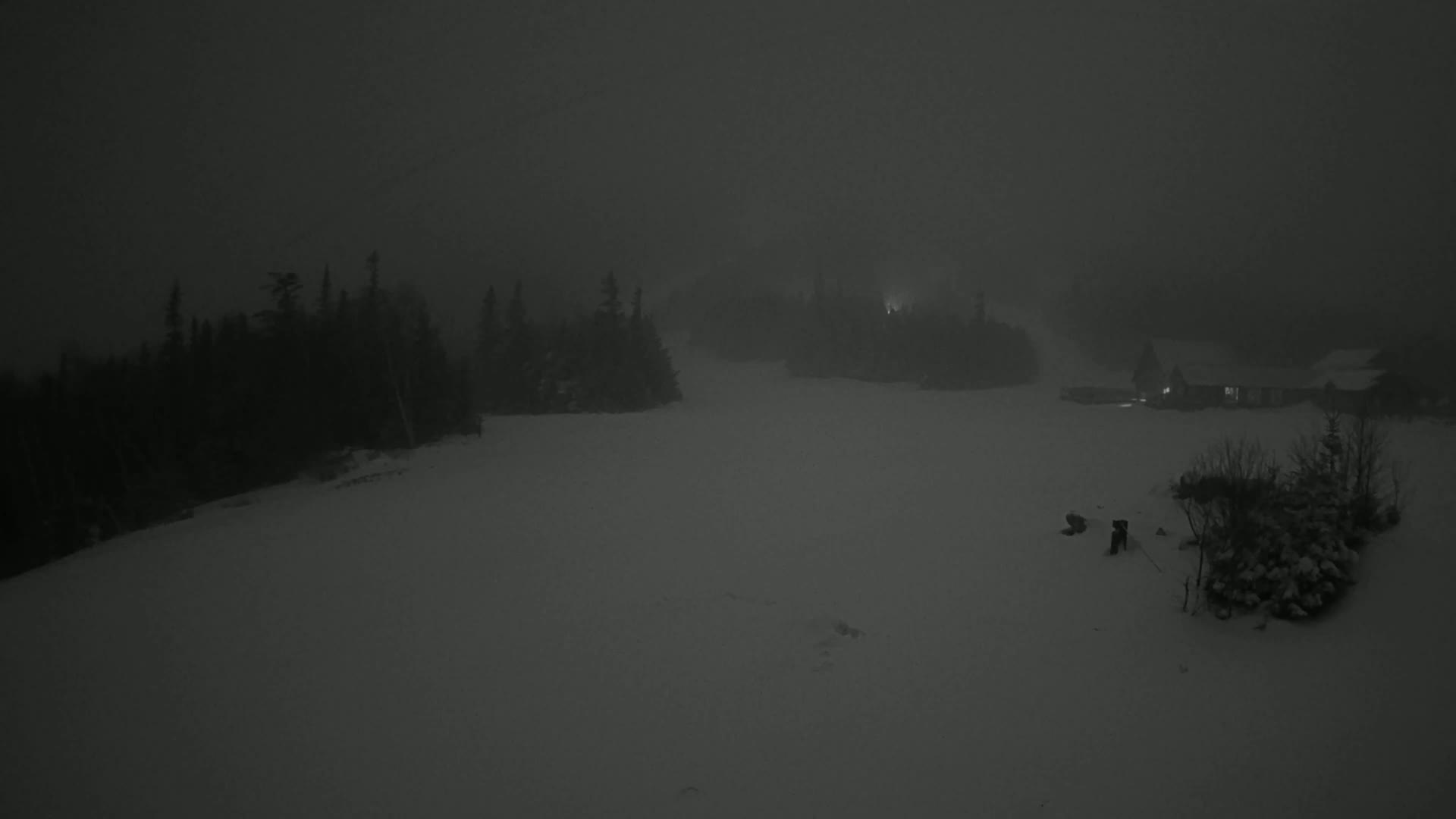 A snowy landscape at night is shrouded in thick fog, with dark evergreen trees and a dimly lit building visible in the distance.