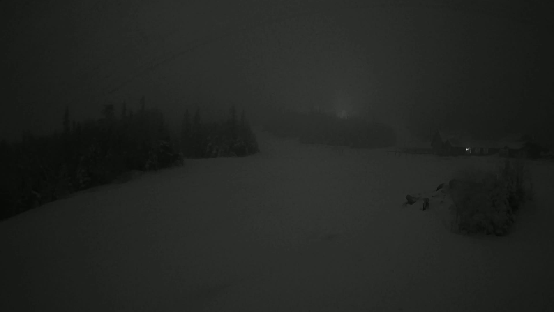 A snow-covered landscape at night is shrouded in heavy fog, with dimly lit trees and structures in the distance.