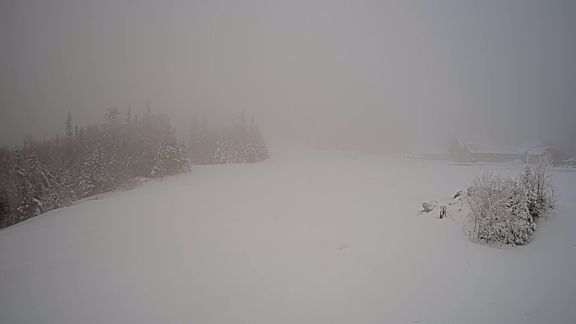 A snow-covered landscape is shrouded in dense fog, with a line of snow-covered trees in the background and a few snow-covered buildings visible in the distance.